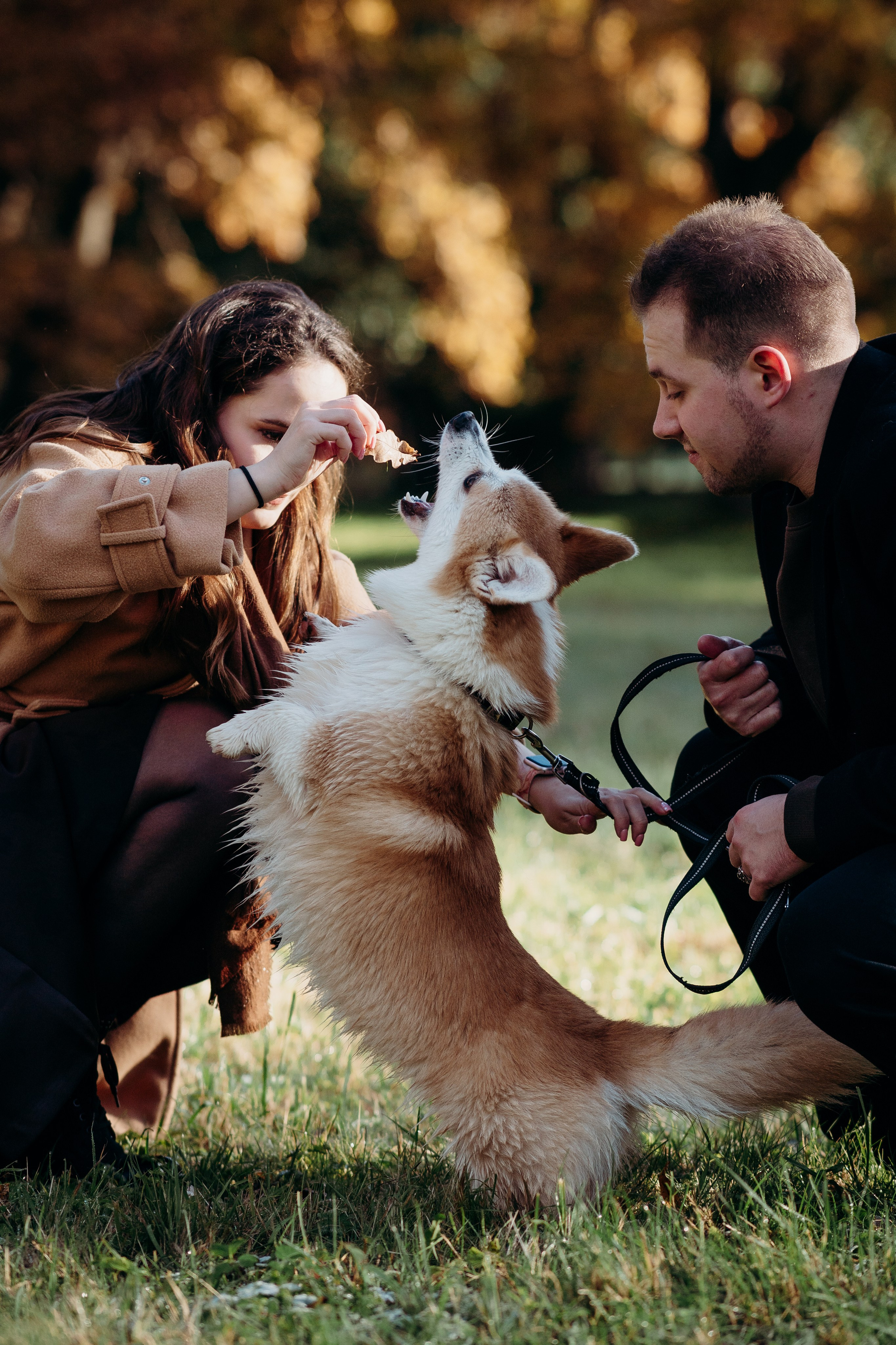 Liisa, Alexander & Marsel. Фотограф-анималист в Таллинне, Катя Лайсаар
