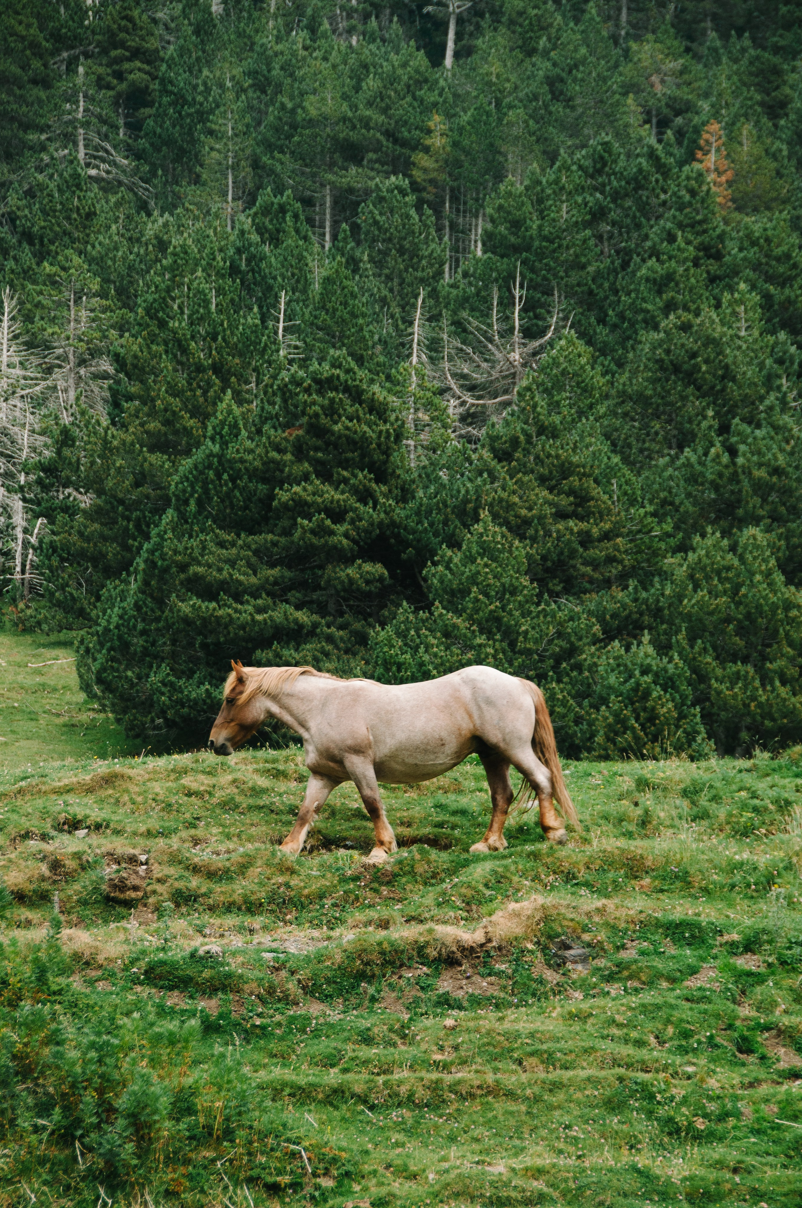 Galeria. Creador de contenido visual en Barcelona | Dima Kit