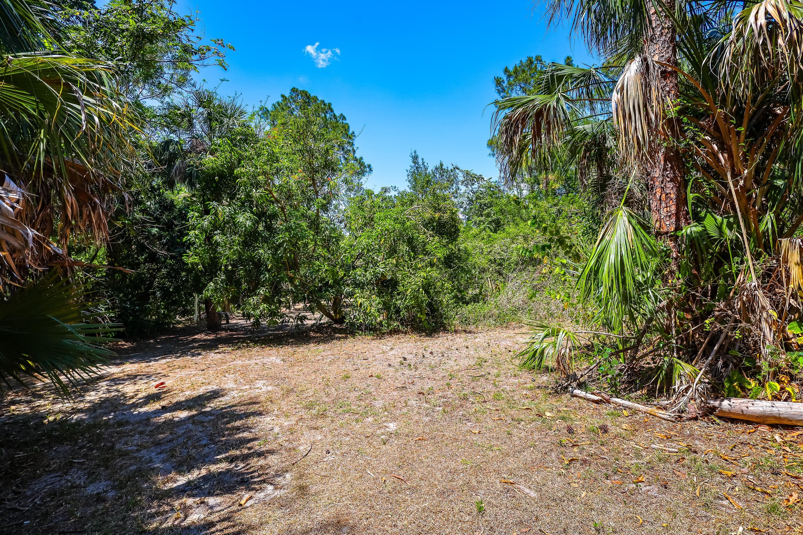 Sample D. Out and About 239