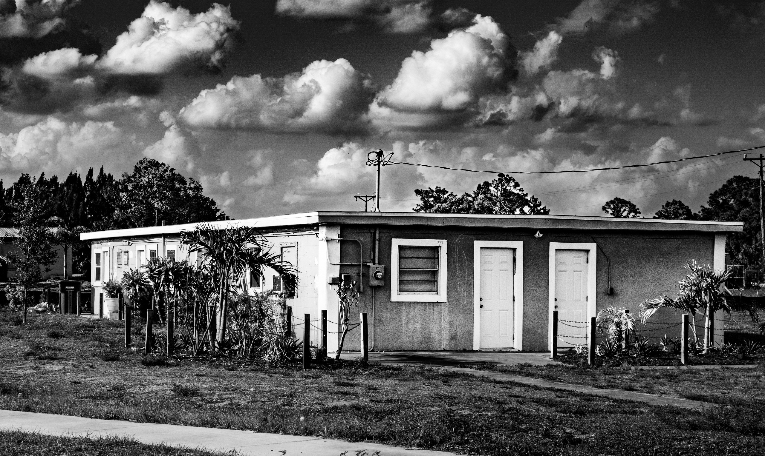 Americana — Immokolee. Out and About 239