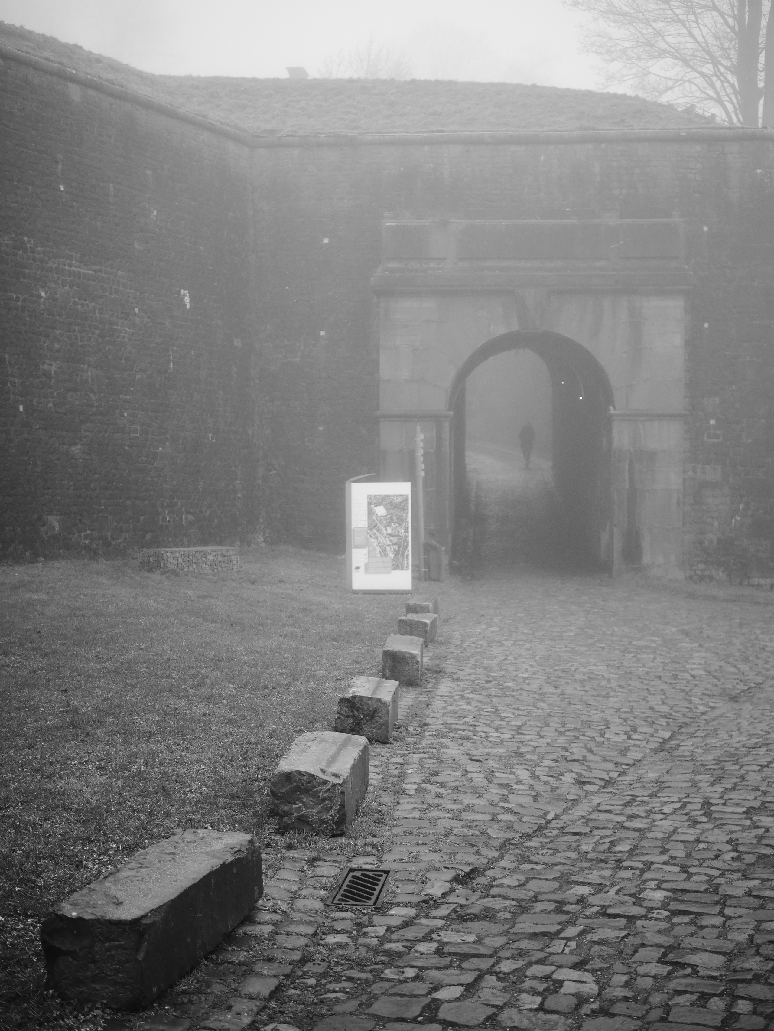 Demyd — art collection