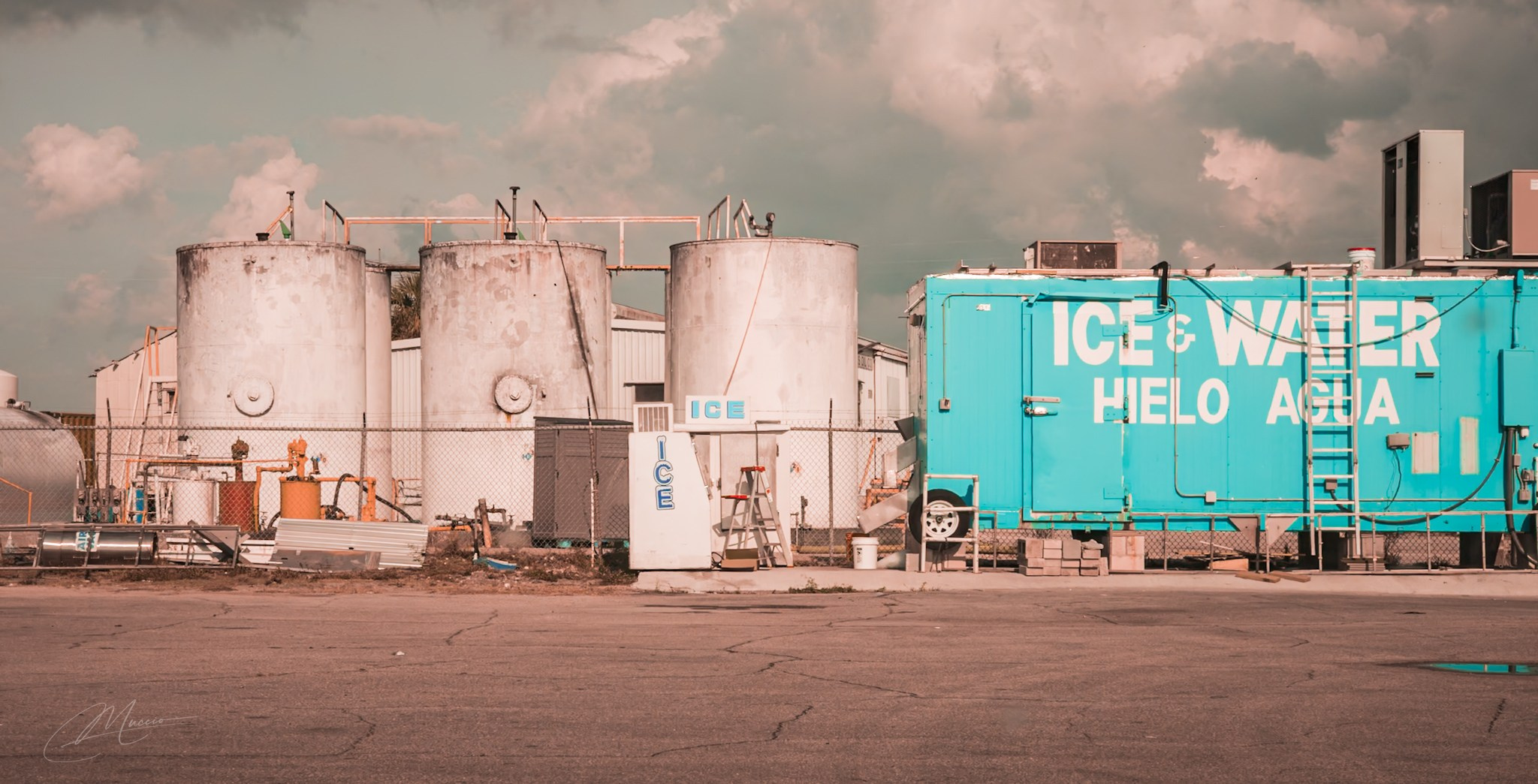 Immokolee. Out and About 239