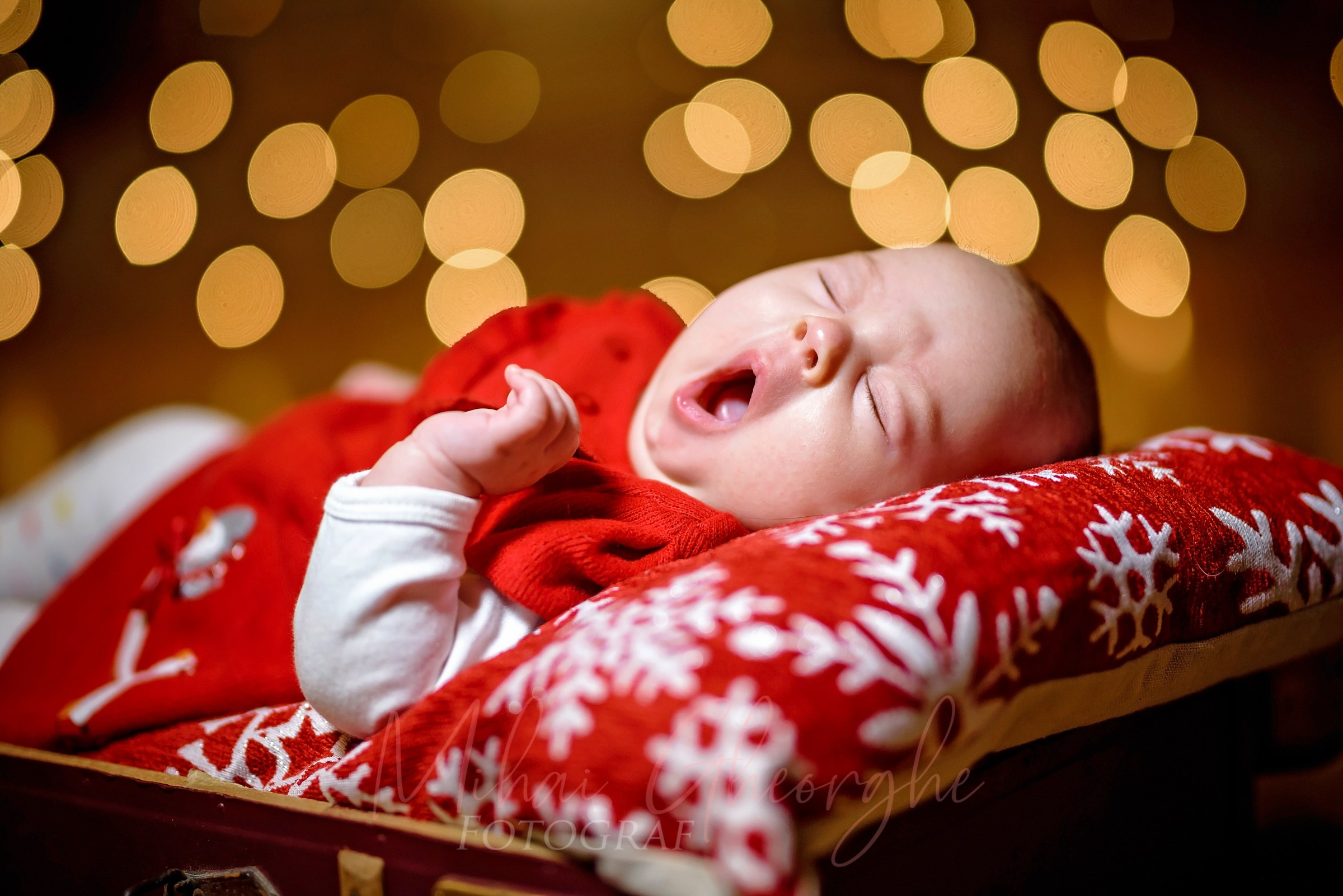 Galerie ședințe foto Crăciun | Inspirație reală