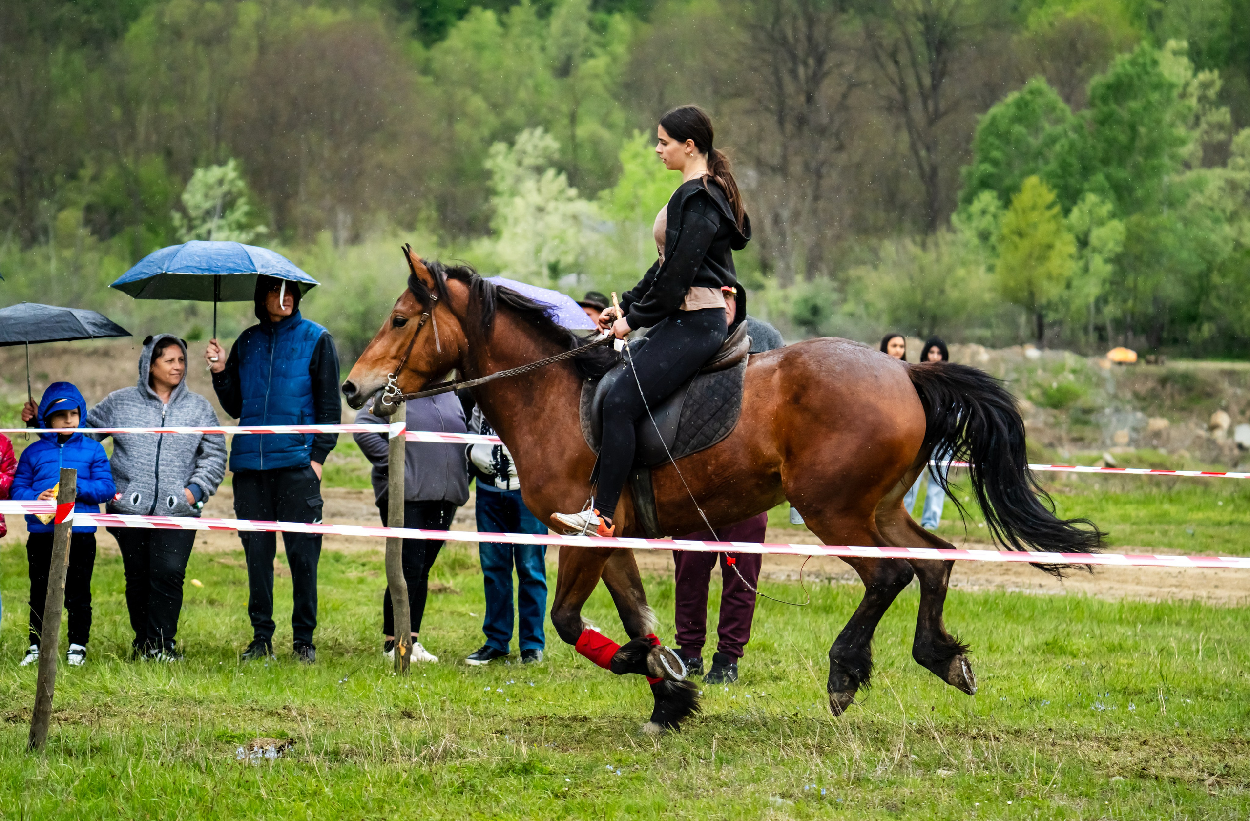 Concurs Ecvestru Vărbilău ediția a 4-a. Mihai Alexandra Events