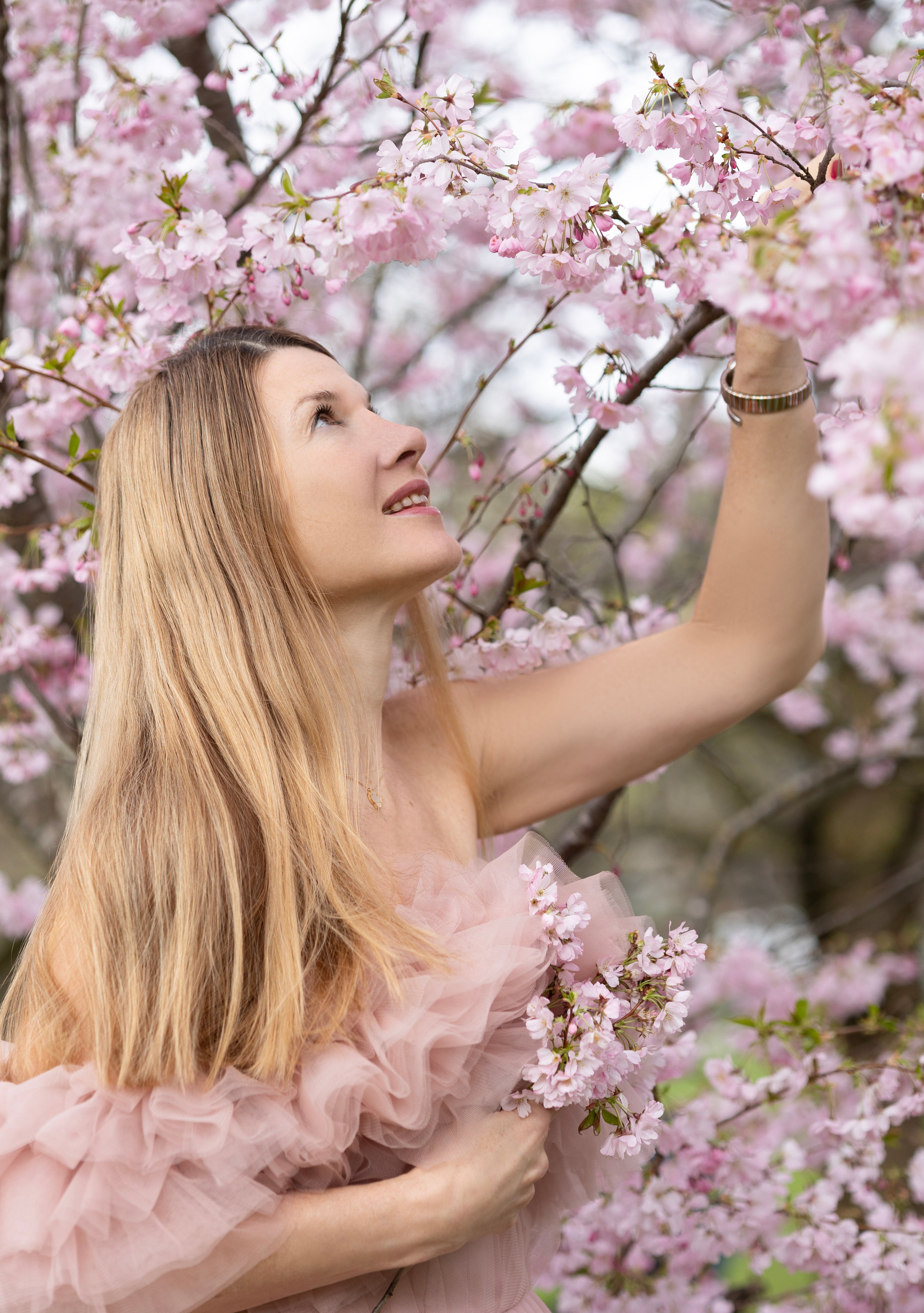 Sakura. Photographer in Munich