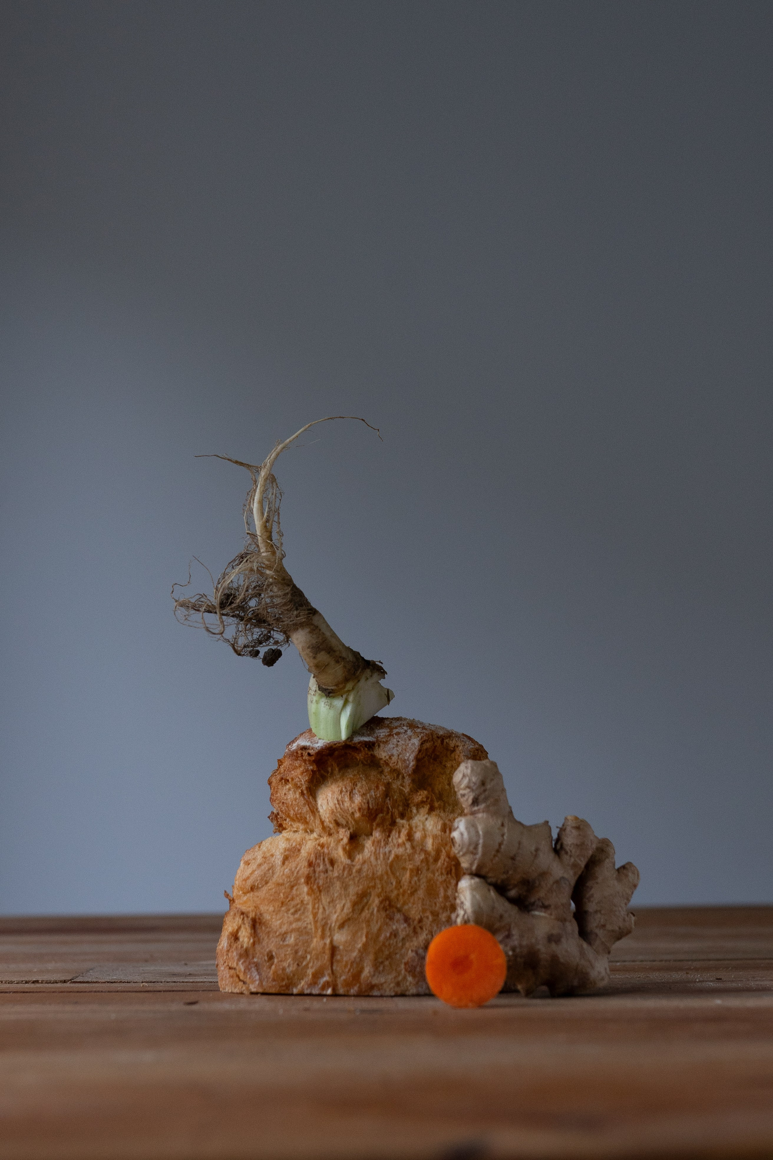 Roots. Maria Sher. Professional photographer from Porto, Portugal