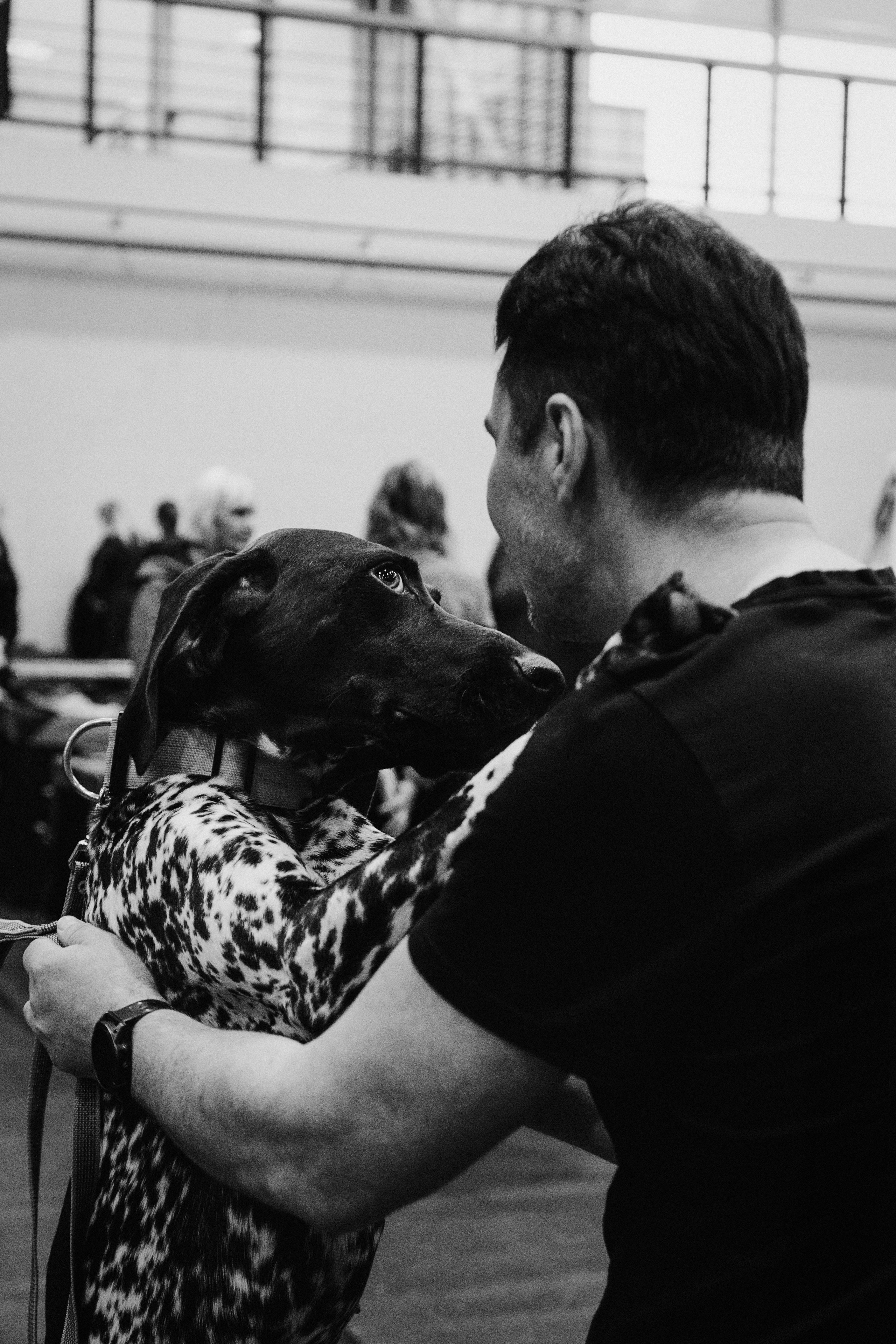 Pärnu dog weekend photo report. Kat Laisaar — Pet photographer in Tallinn