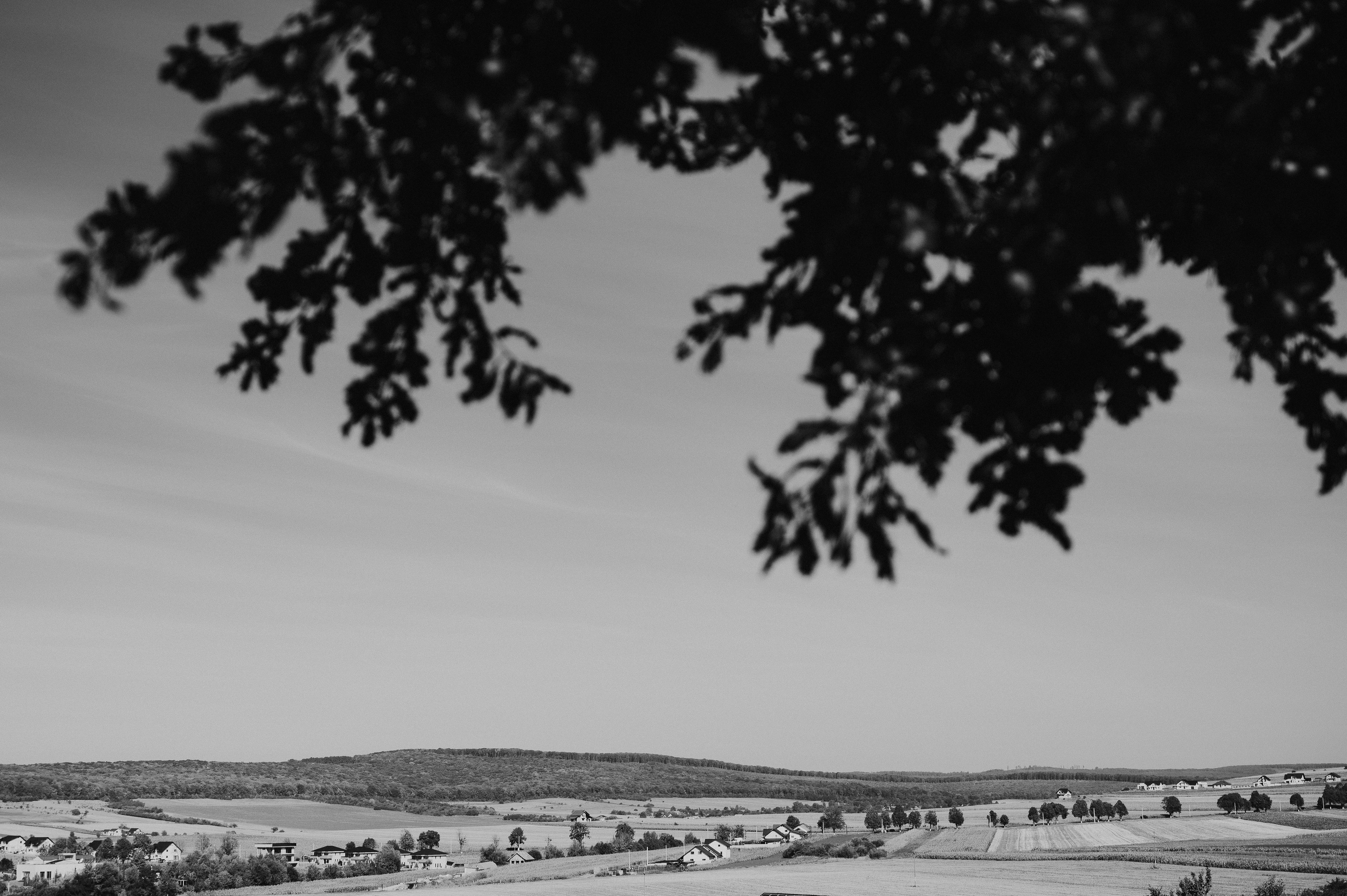 Robert si Ilinca. Valentin Melen - fotograf de nunta 🤍