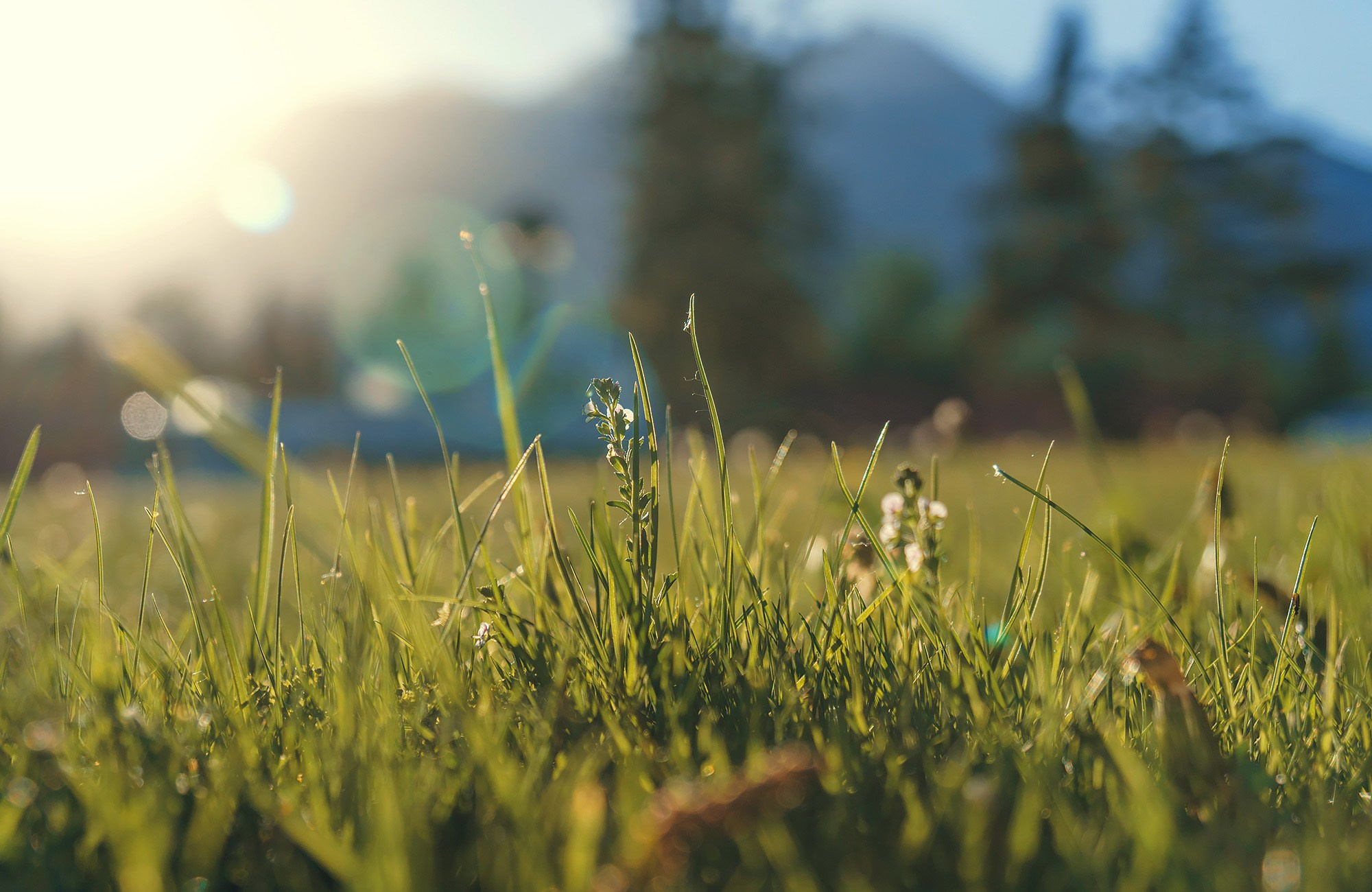 Poze frumoase din Slovacia - fotograf calatorii Andrei Zveaghintev. Fotograf nunta si familie in Moldova, Chisinau - Andrei Zveaghintev