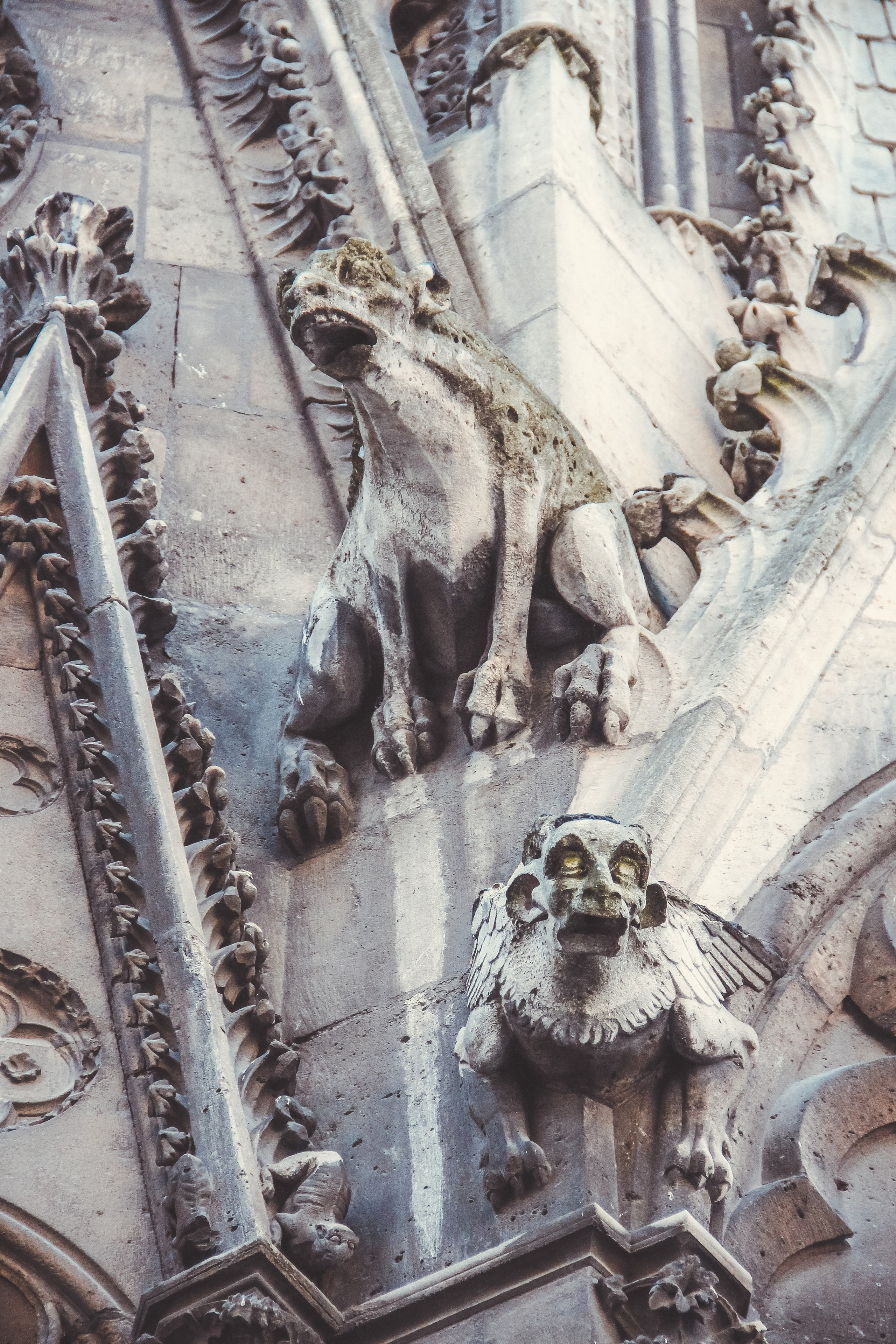 Увидеть Париж десять лет спустя. Фотограф в Германии — Мария Чистякова