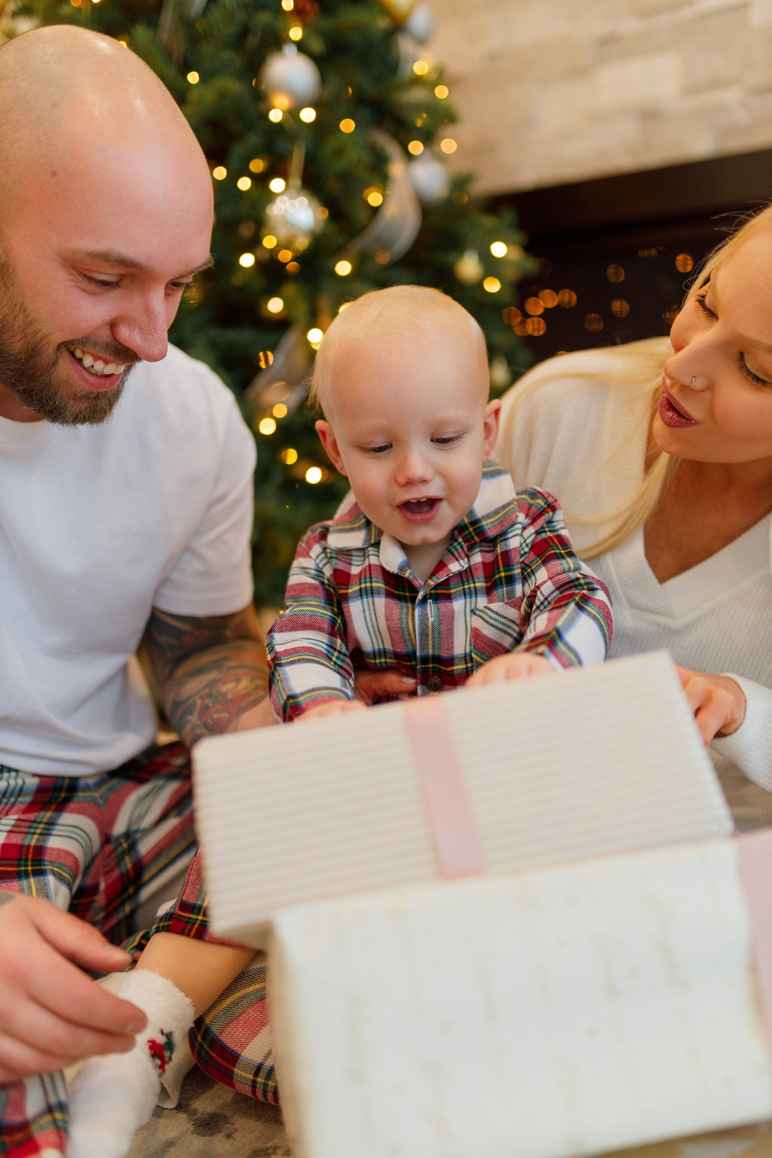 Christmas minis 2025. Home