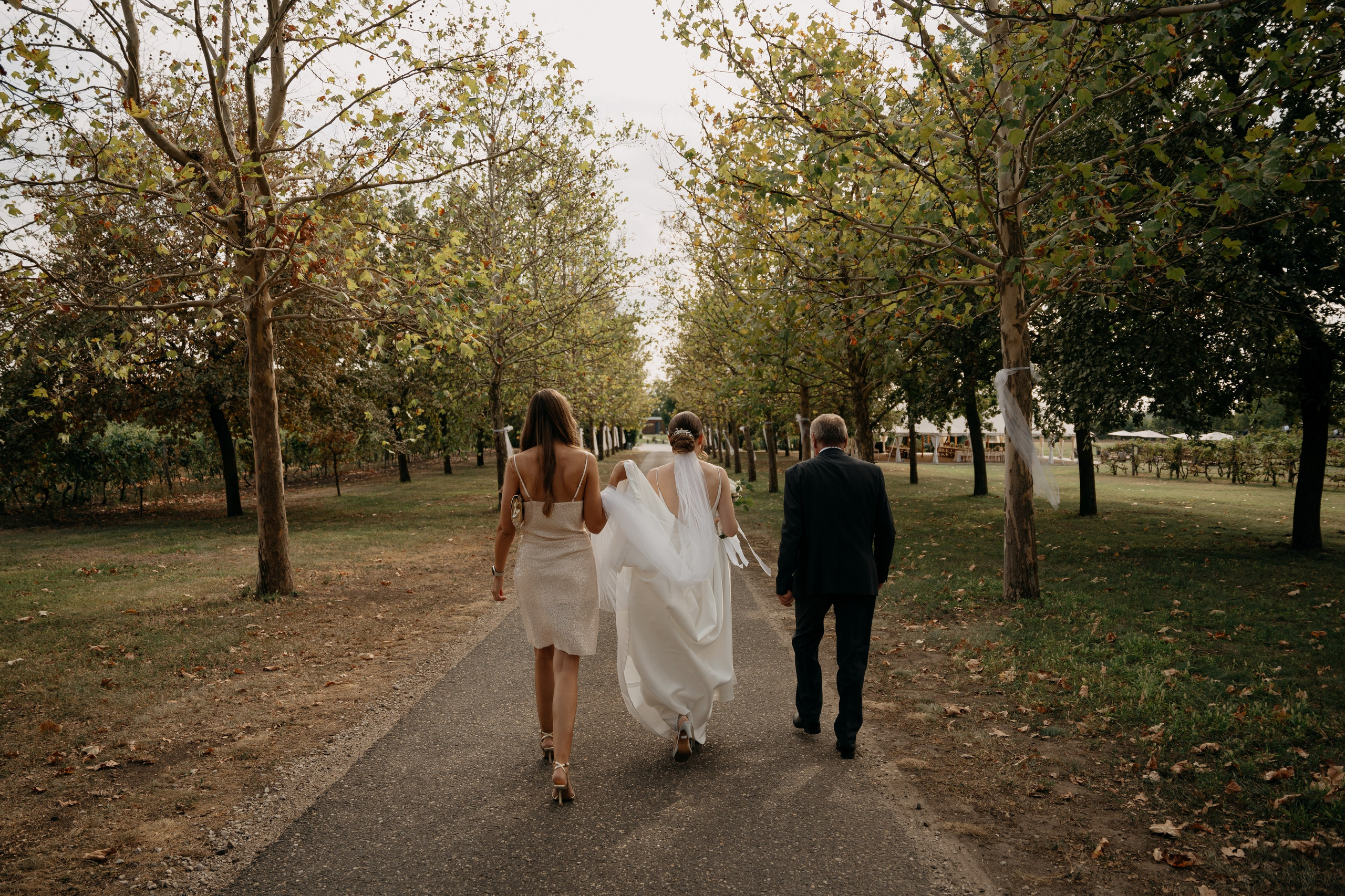 Vivi + Gábor. Csilla visuals