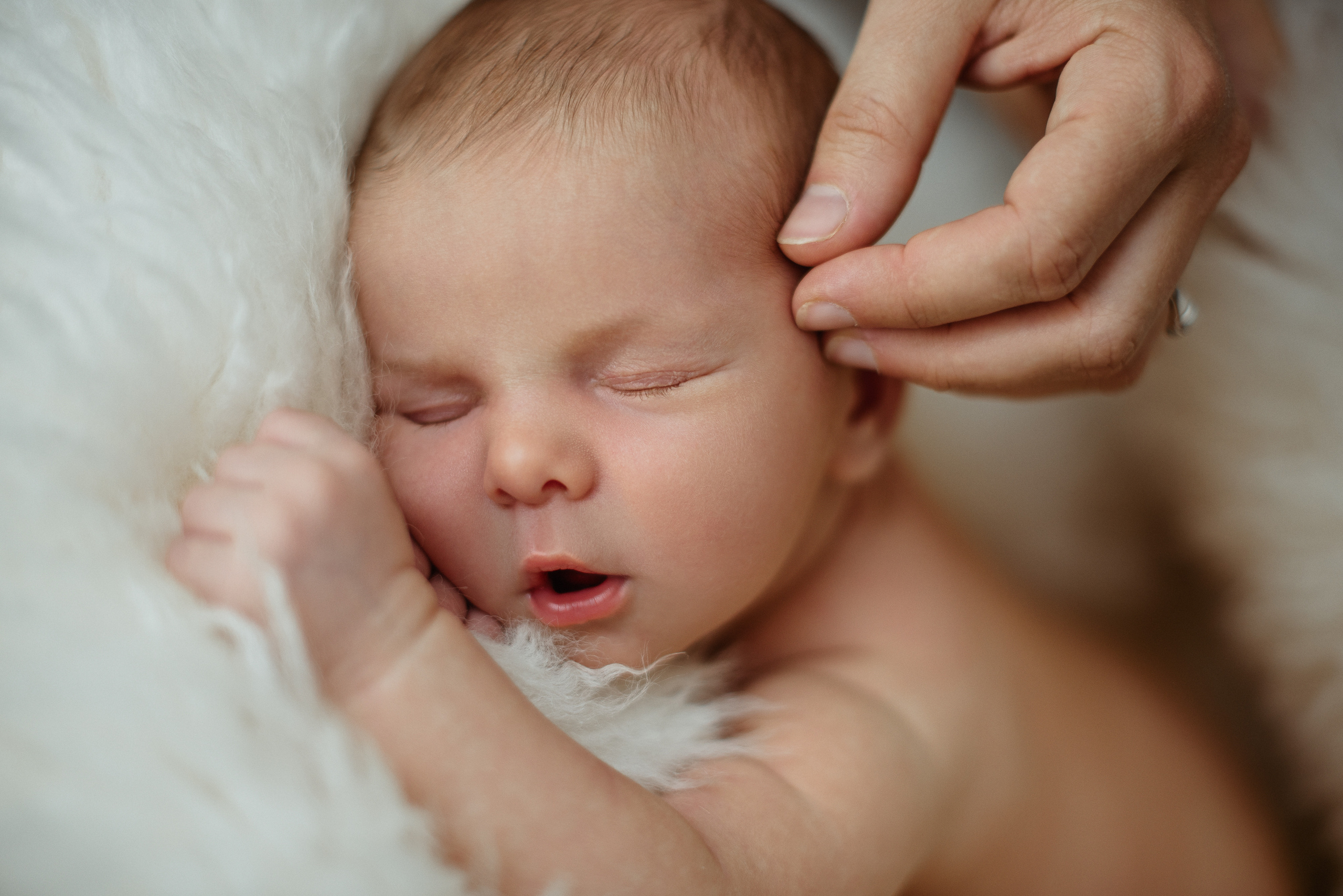 newborn photography  home session