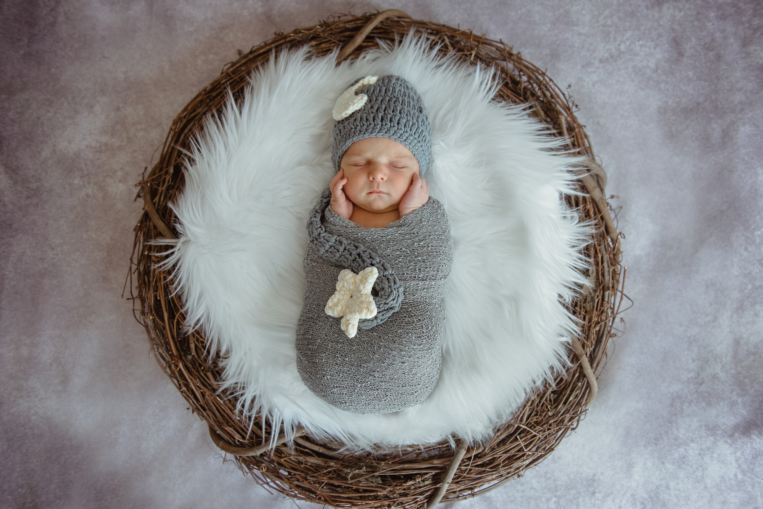newborn photography  home session