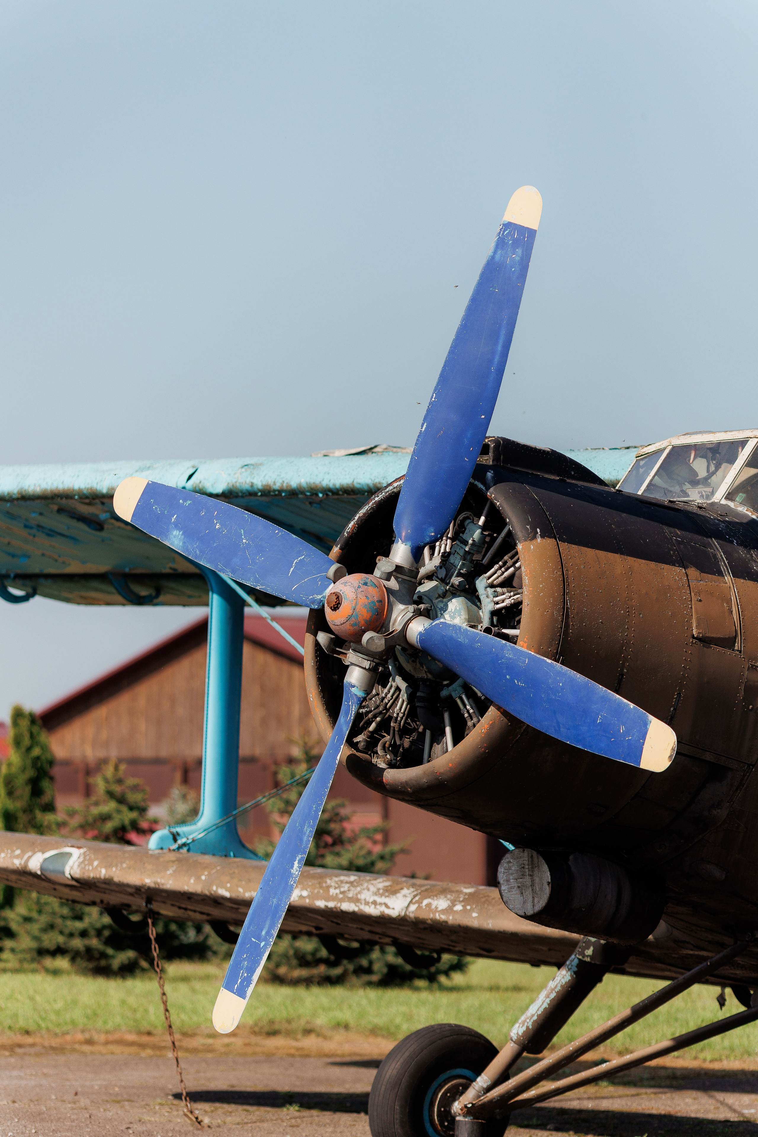 Екопарк Аміла. Ірина Терещук