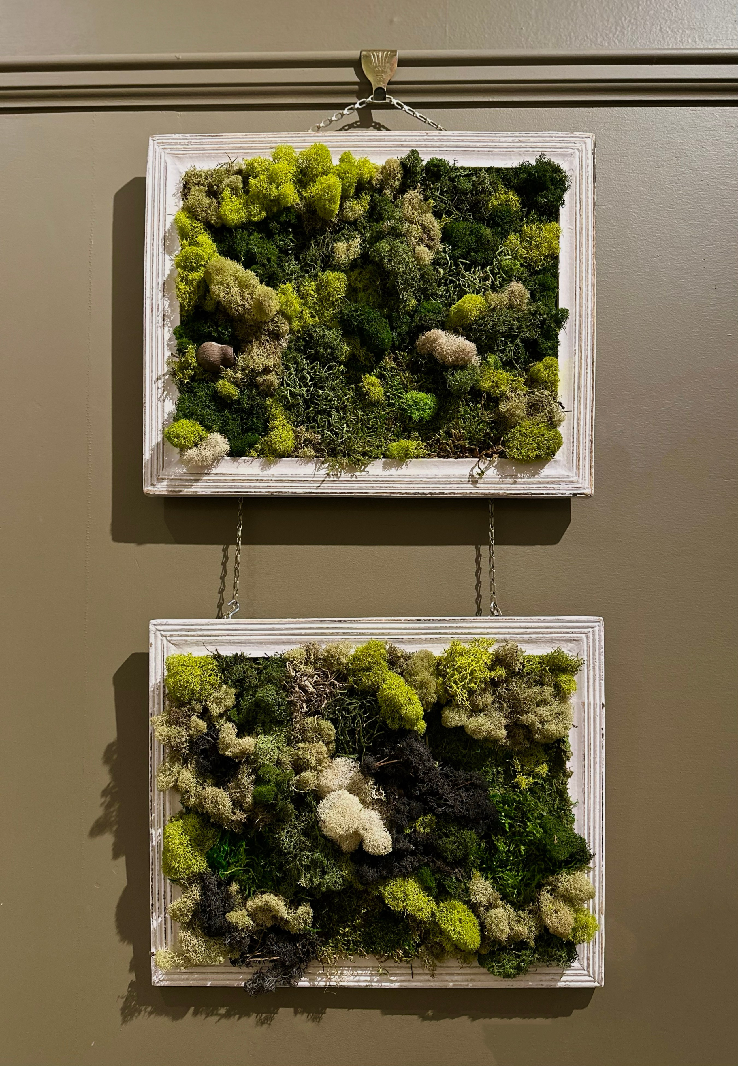 Anna & Moss magic, Content. Yana Bobrova | Artistic Photography