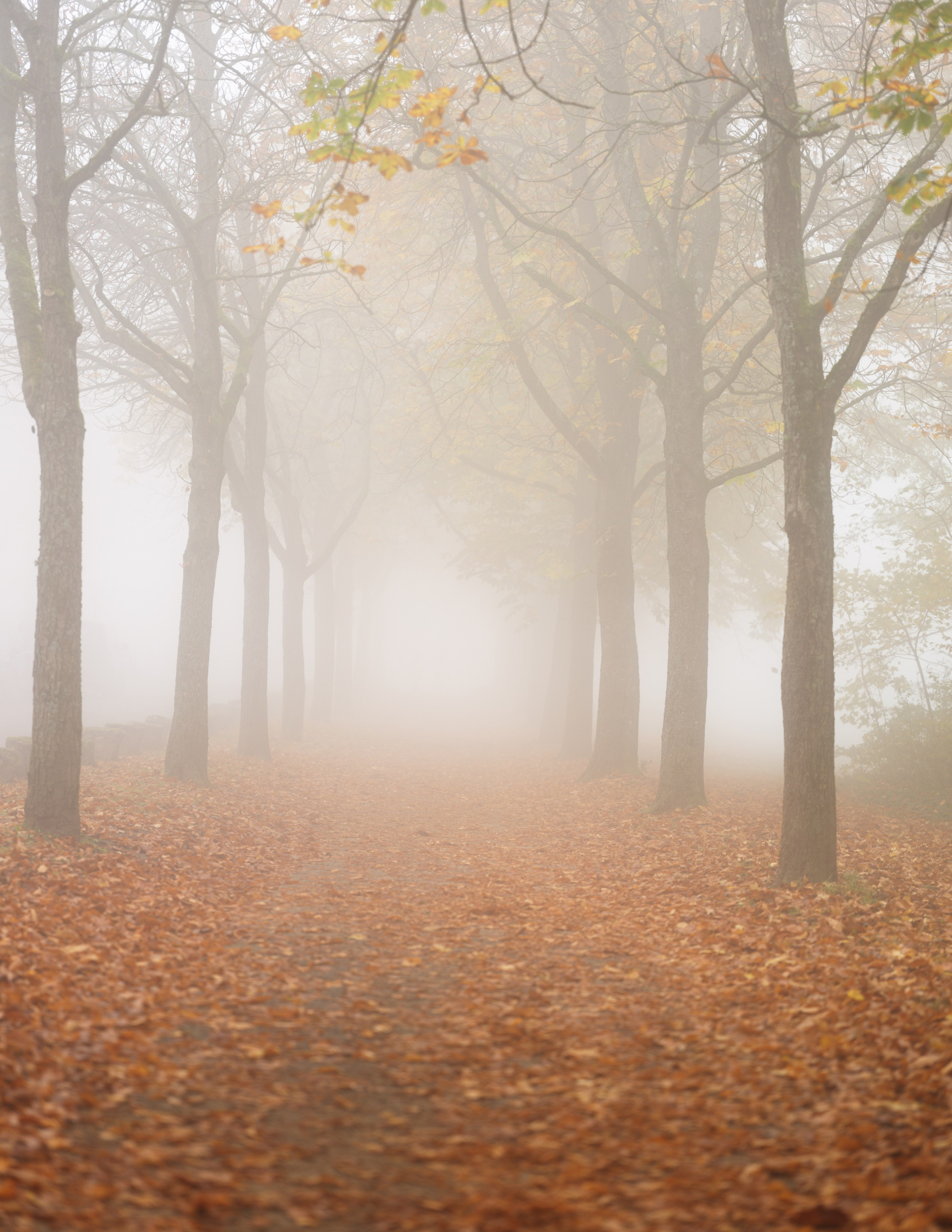 Fotograf, Stuttgart für Travel, berge, architekur, portraits, porträts, landschaften, polas