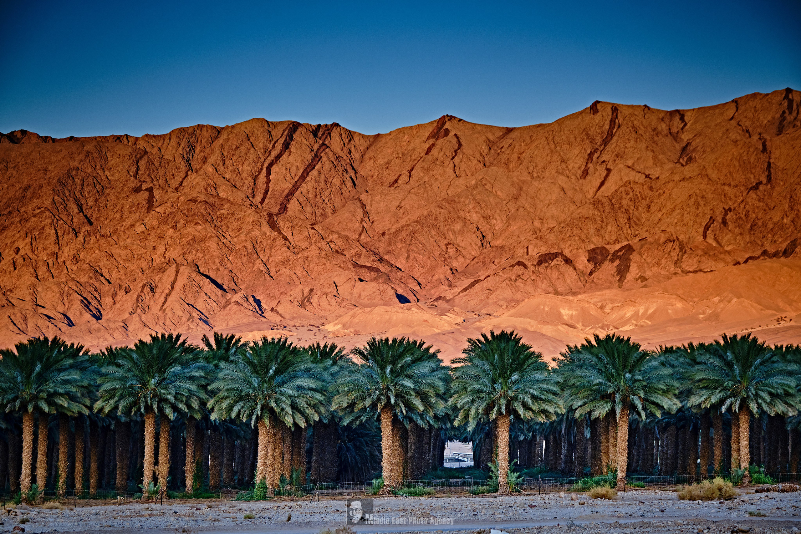 Photography: Sergei Grankin on Channel 9 – Maxim Polak. Middle East Photo Agency — Photography & Event Magnets — סוכנות צילום והדפסת מגנטים לאירועים