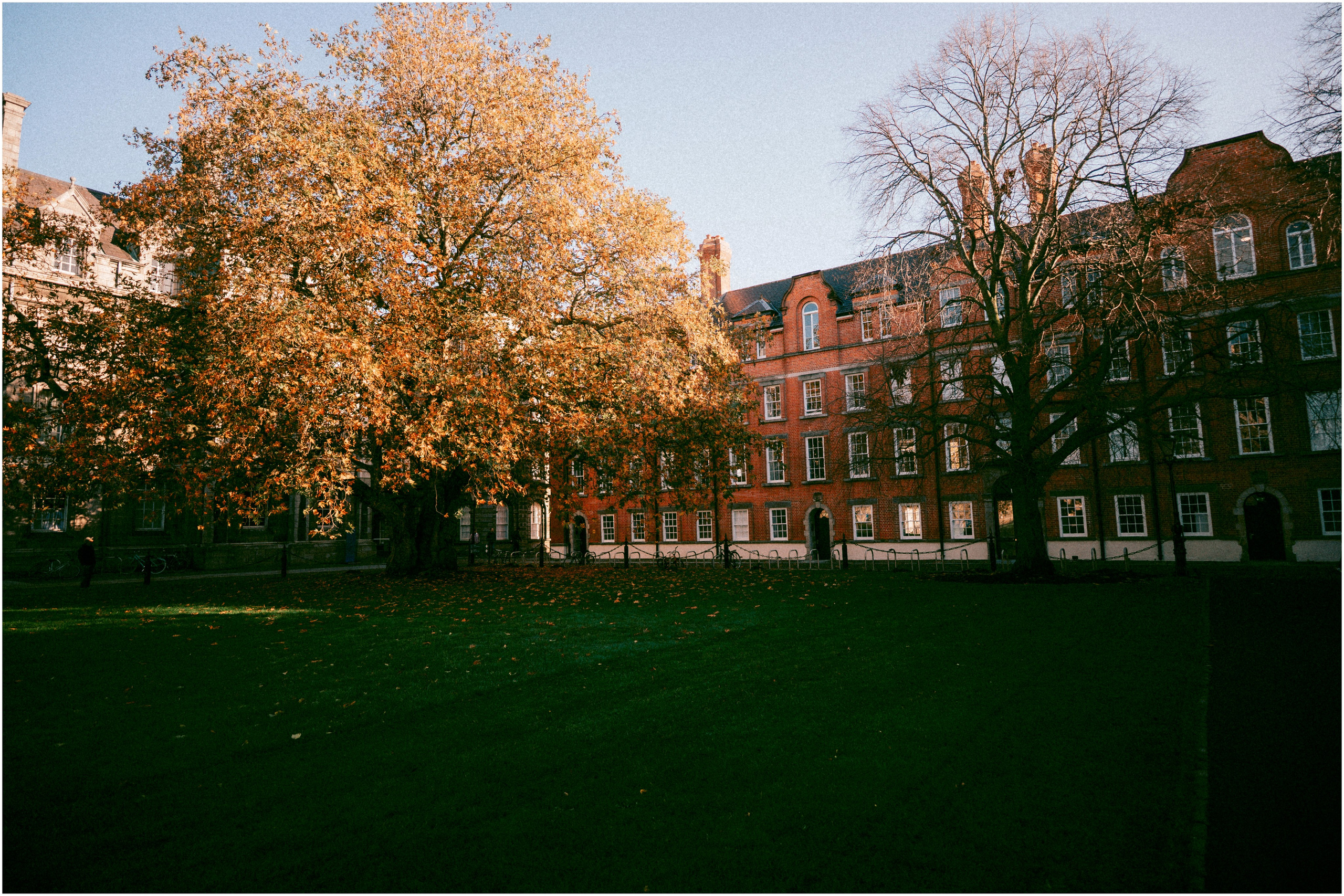 IRELAND. Inna Mendelson — Photographer