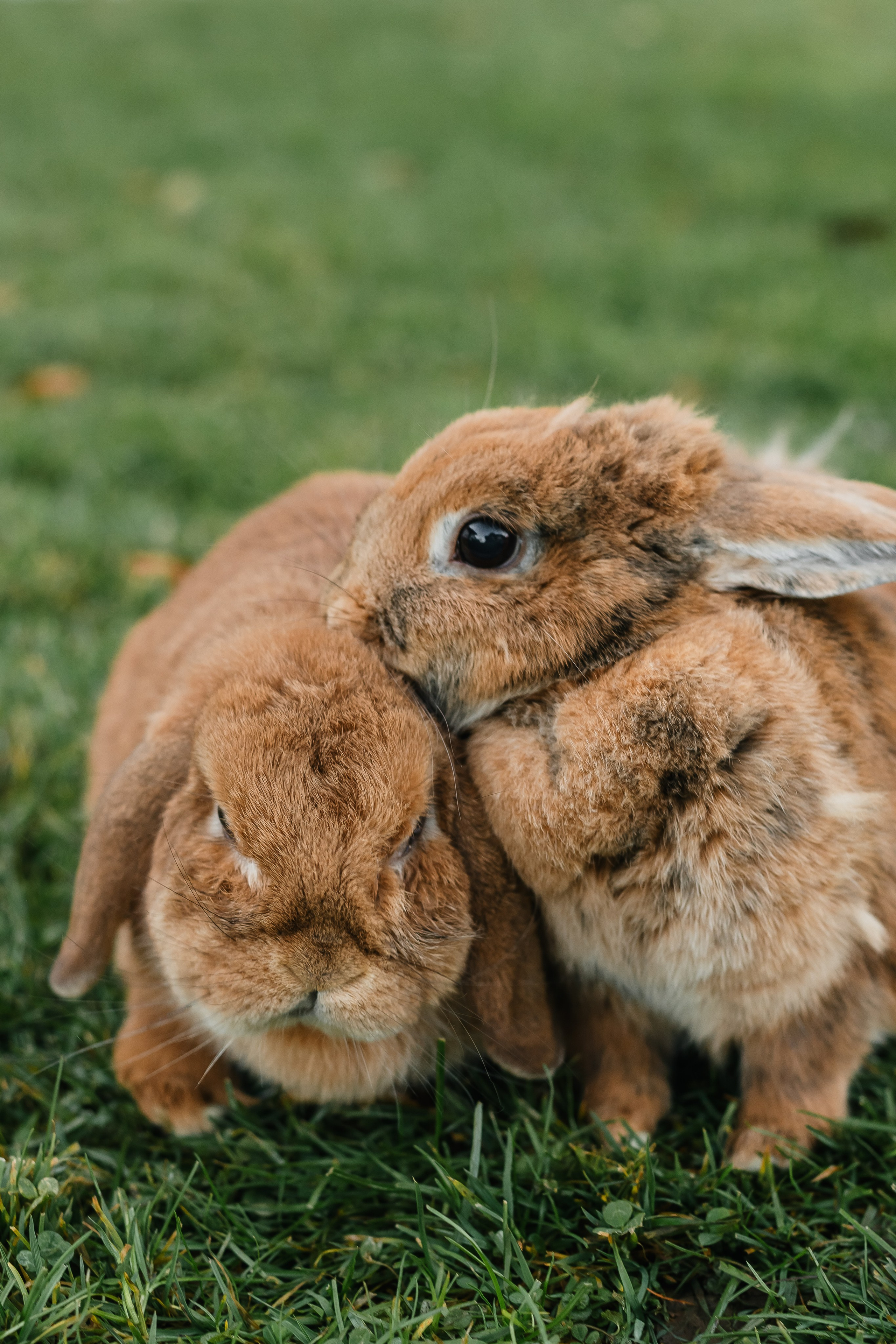 Familie / Kinder. Fotografin Larysa Chepurko| Füssen| Garmisch-Partenkirchen| Weilheim| Schongau| Murnau| München | Hochzeitsfotograf Füssen | Larysa Photo