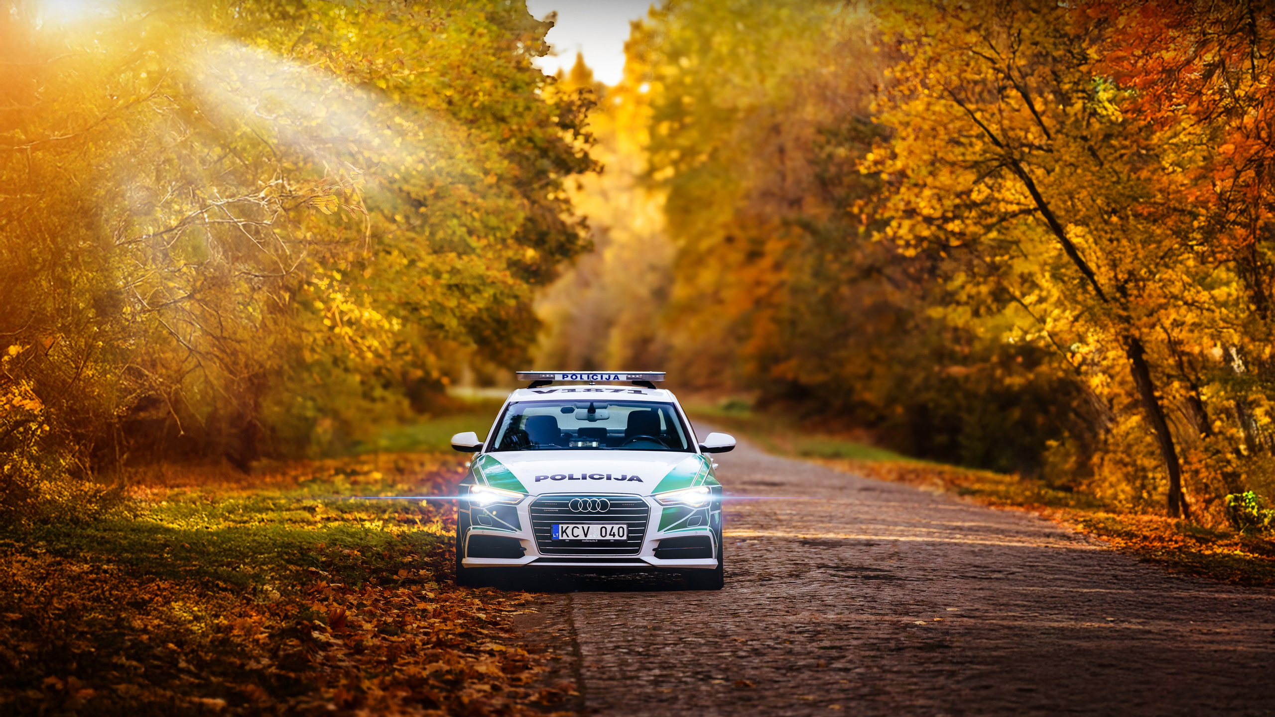 Police Cars. OnePIXEL