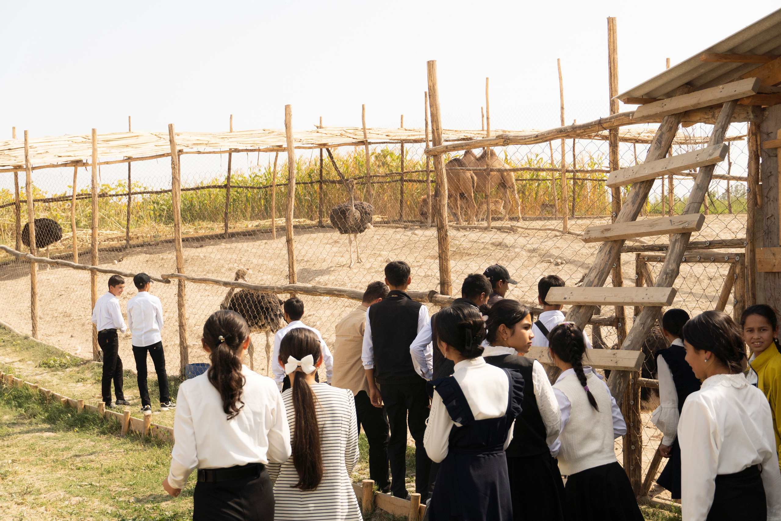 Gen U. Melikov Amir, Uzbekistan based photographer