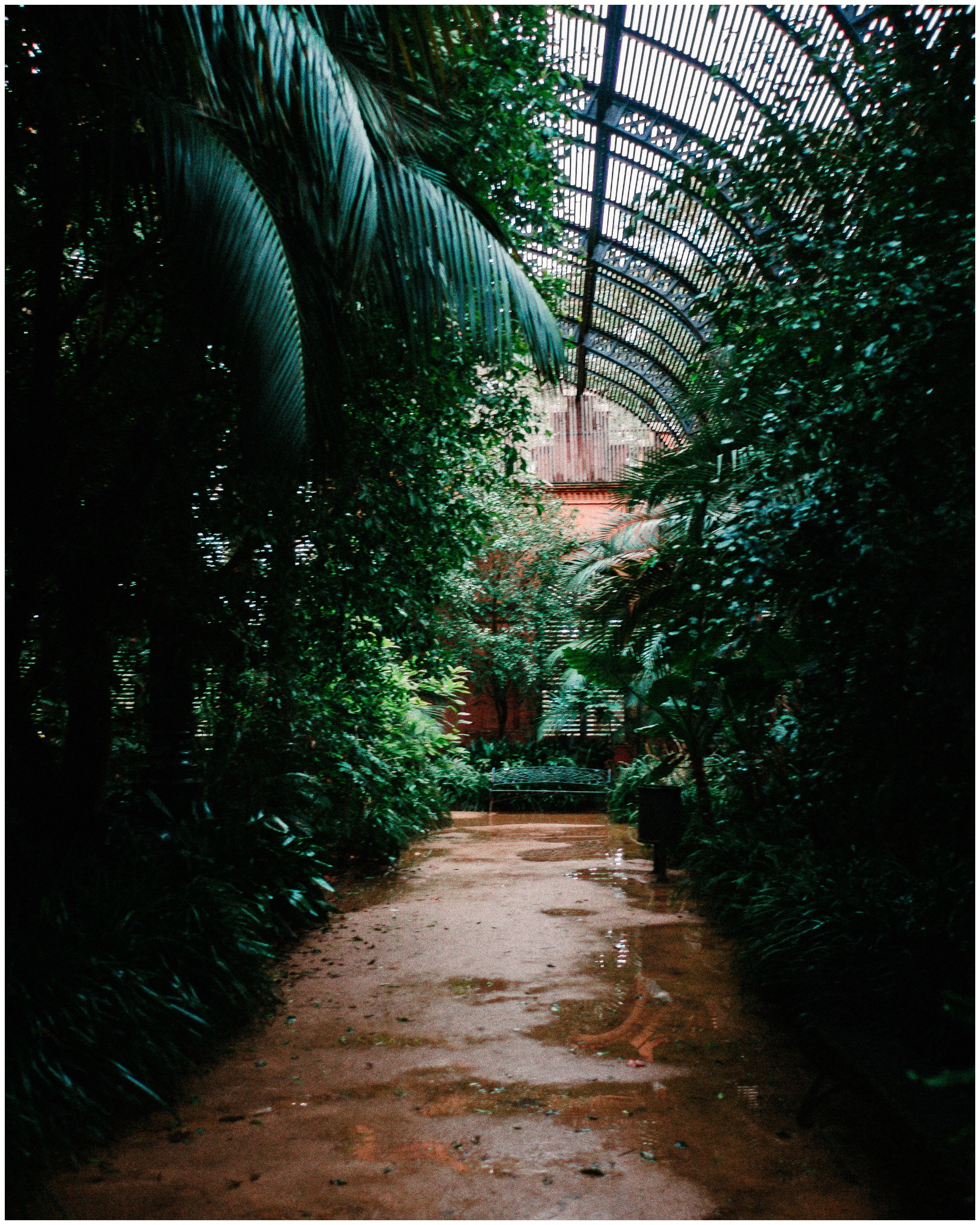 BARCELONA. Inna Mendelson — Photographer