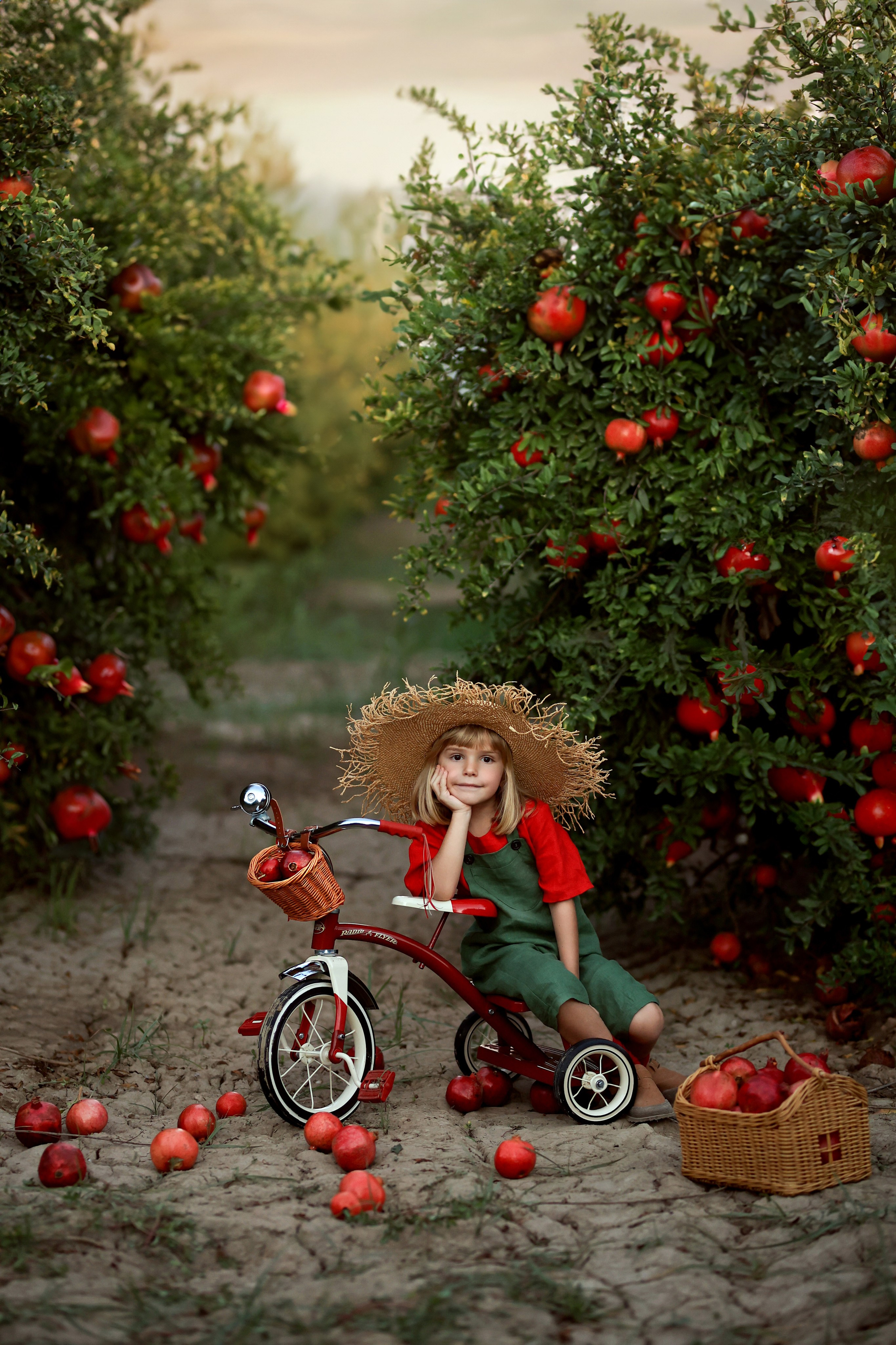 Photoshooting in pomegranate garden. Photographer in Turkey, Antalya, Kemer, Belek, Side, Kas, Fethiye