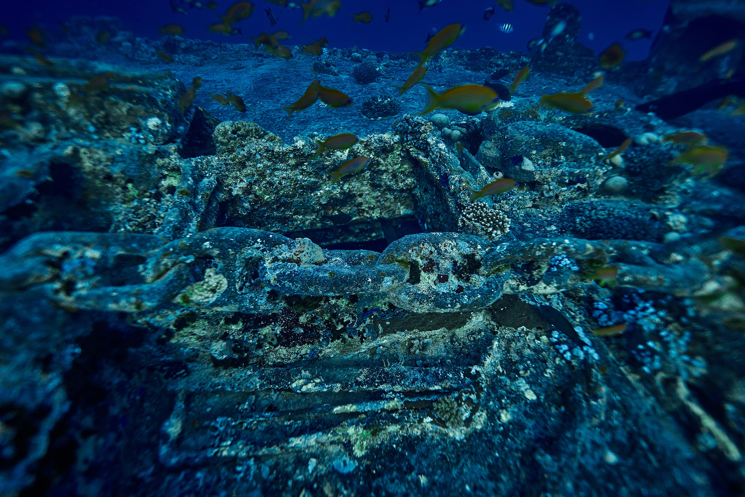 Underwater photographer Andriej Szypilow - photos of the mysterious SS Thistlegorm - sunken ship in the red sea