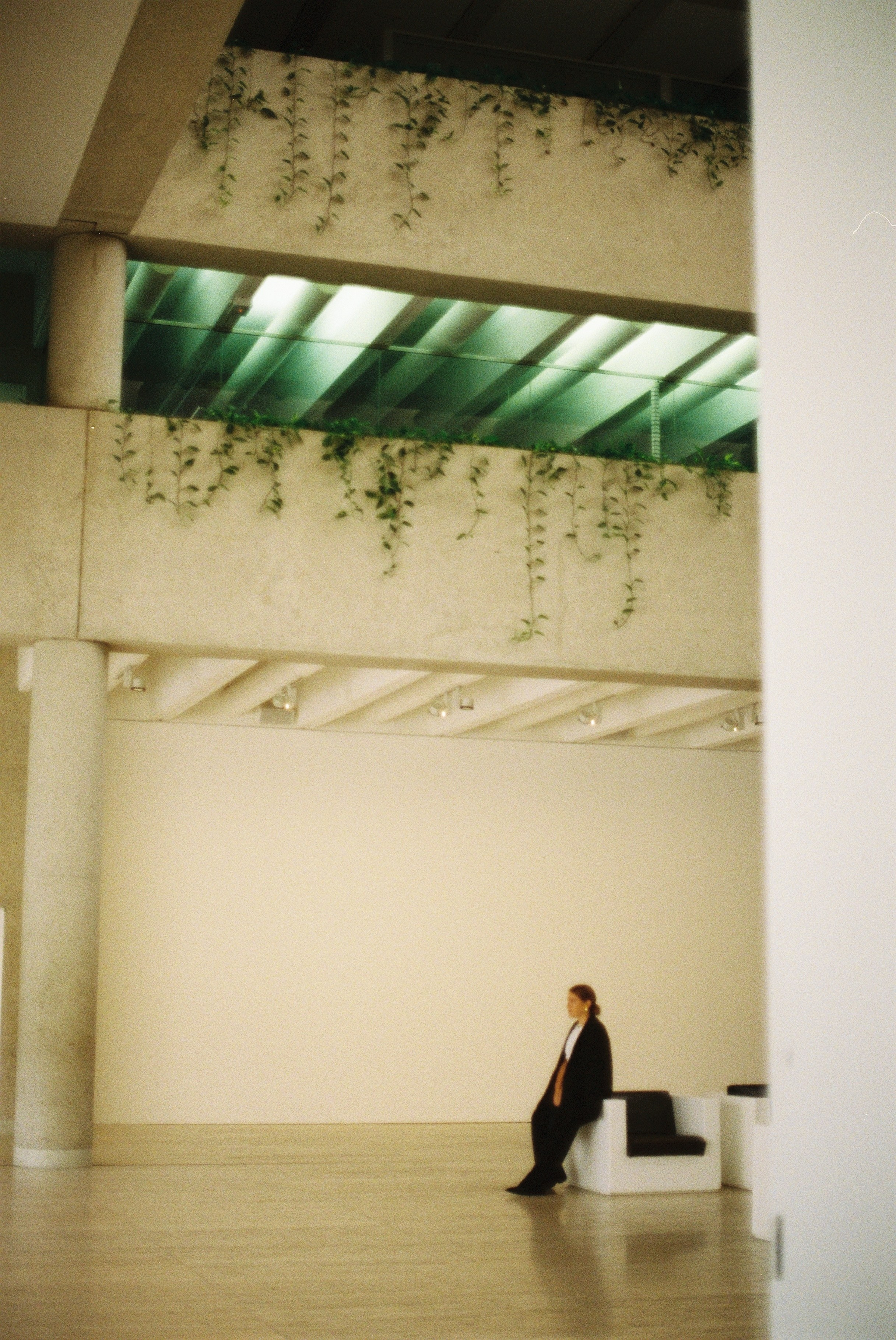 Noa. Film portrait photographer