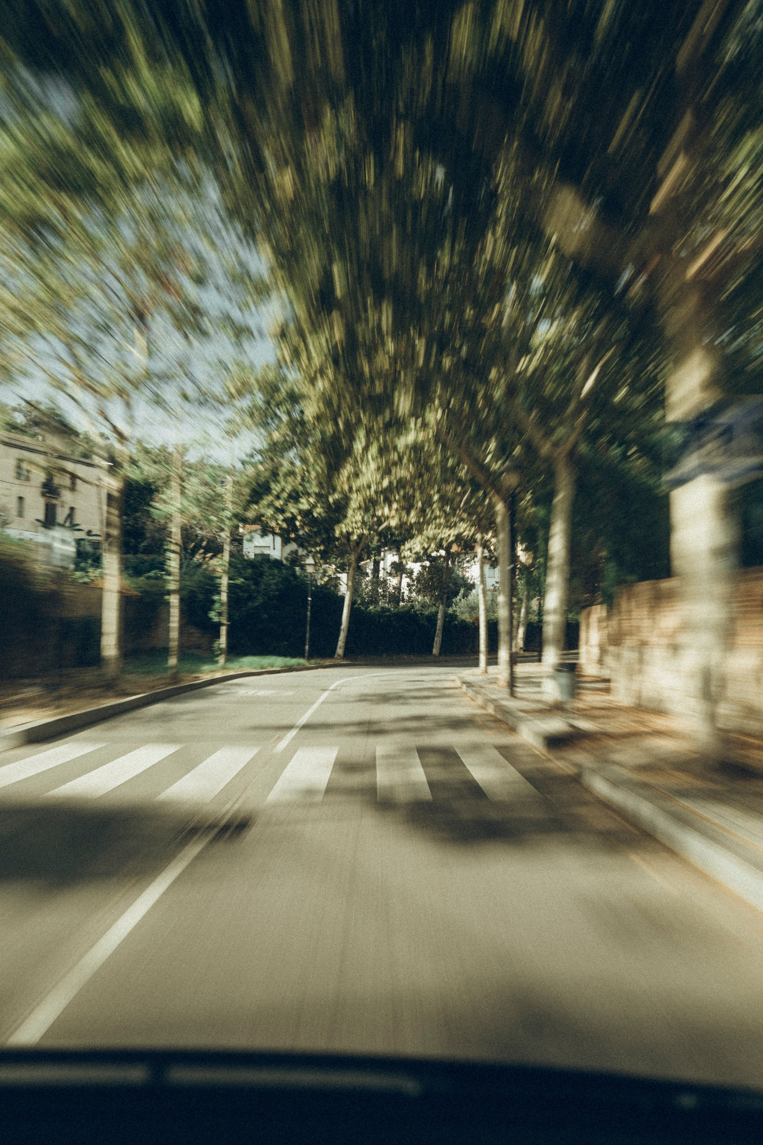 Nadezhda & Dmitry. Masia Mas Coll. Paola wedding photographer / videographer in Barcelona