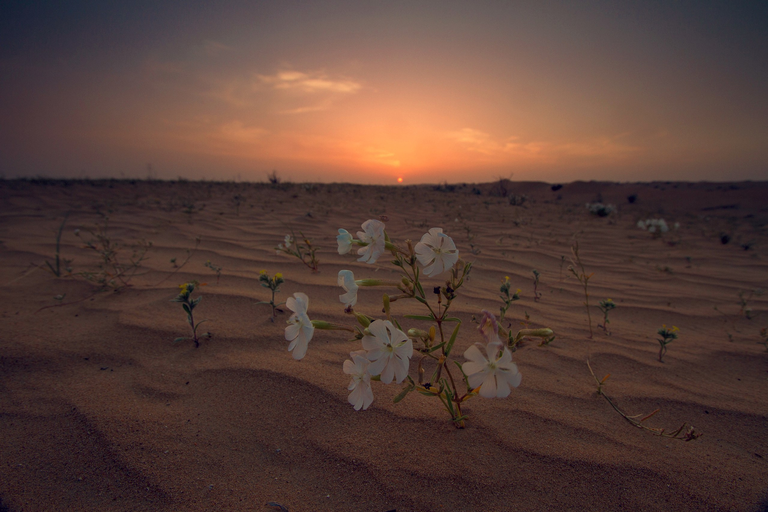 Пейзаж. Фотограф Игорь Баранюк