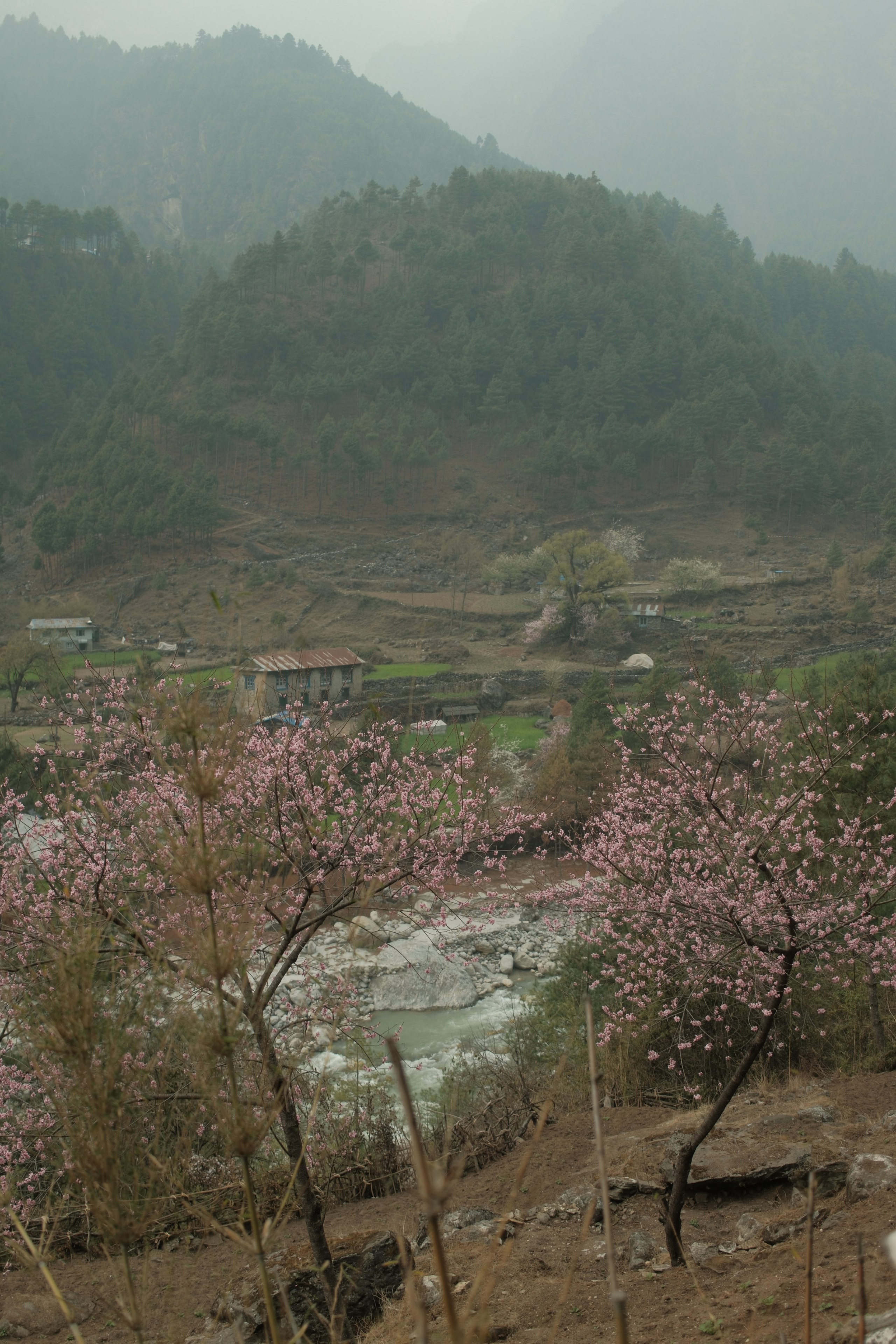 Nepal. Patricia Morenci — Mountain Adventures for the Wild at Heart