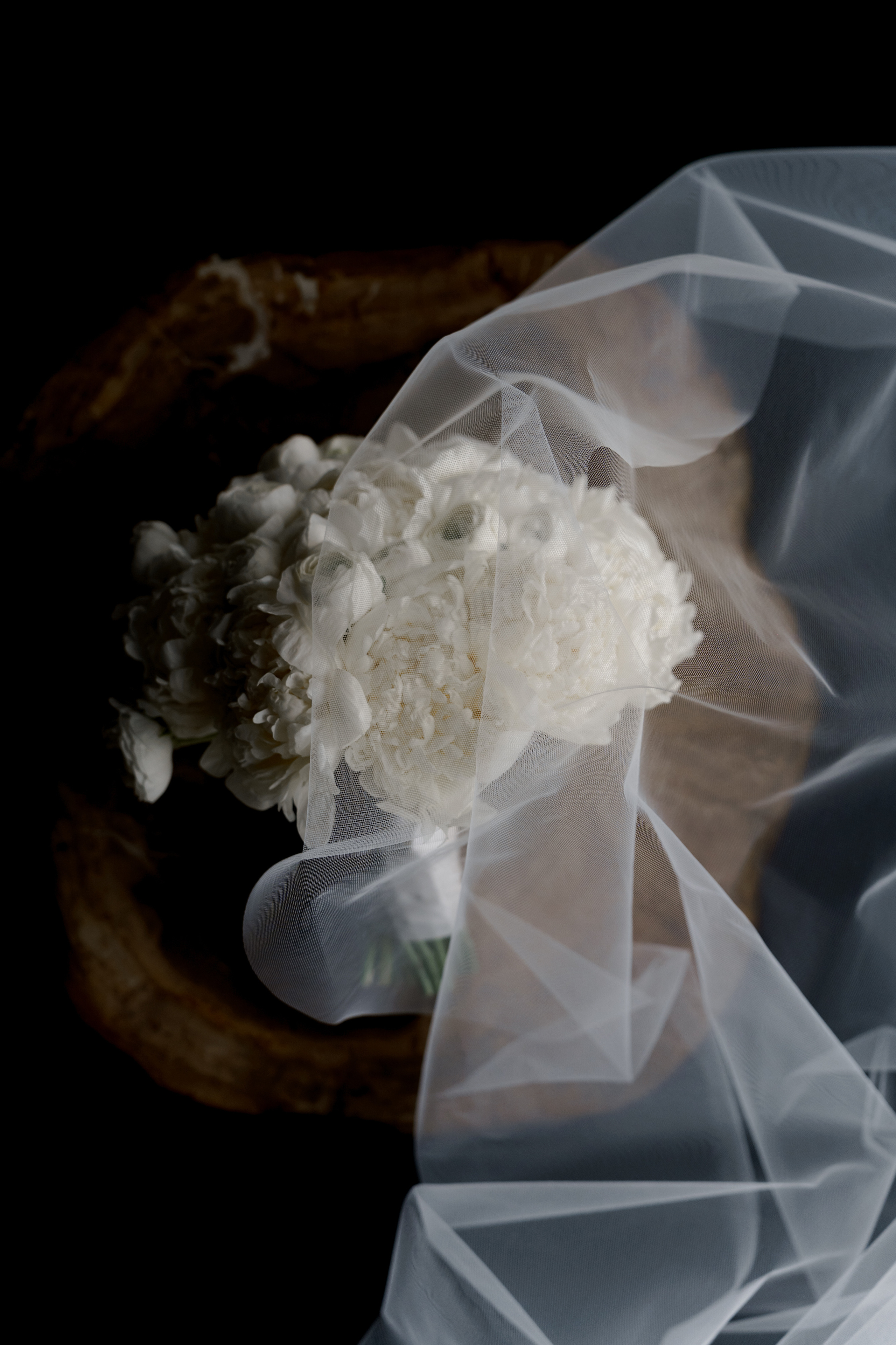 Shushan and Juno. Wedding photographer and videographer New York | New Jersey