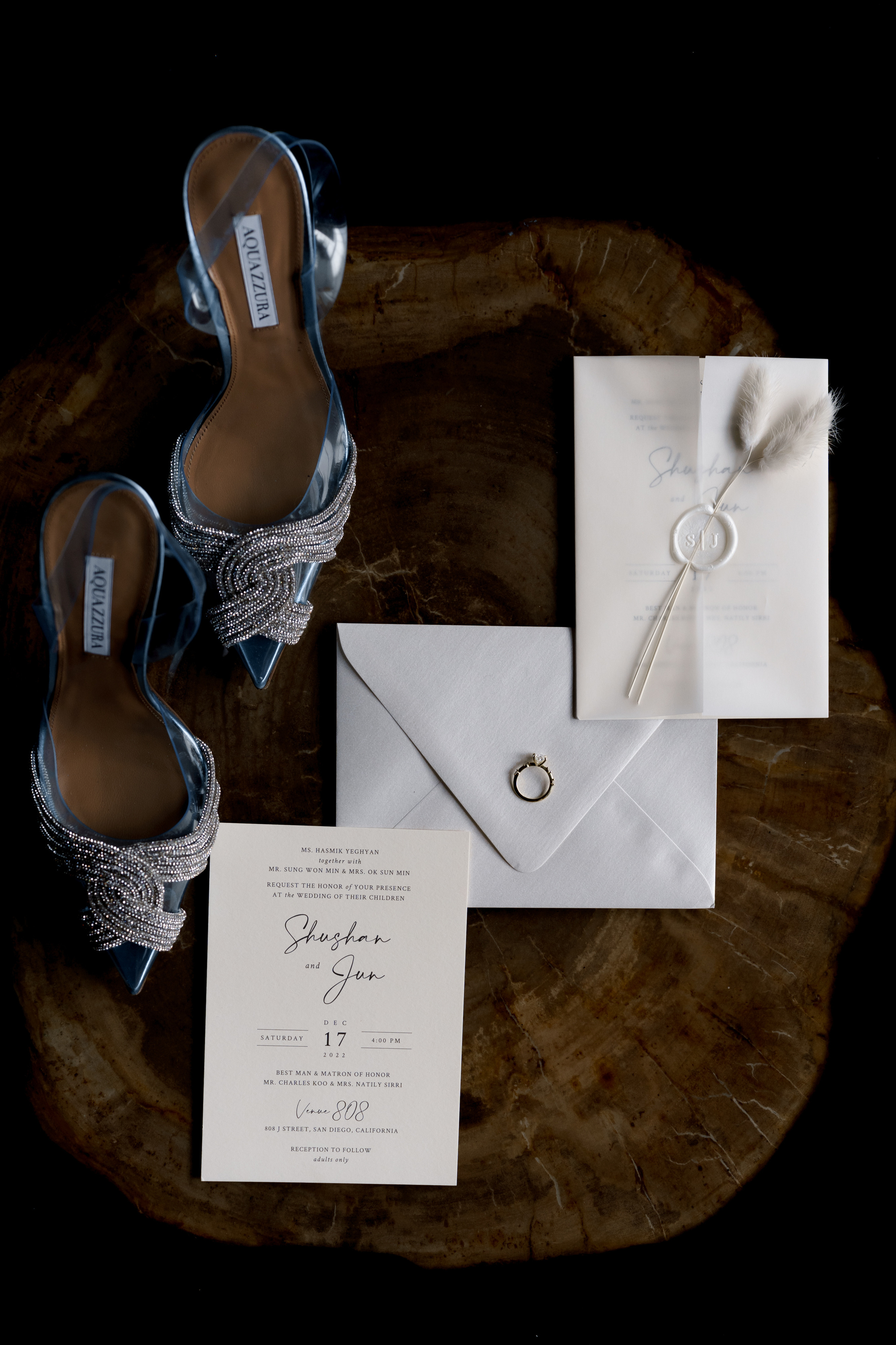 Shushan and Juno. Wedding photographer and videographer New York | New Jersey