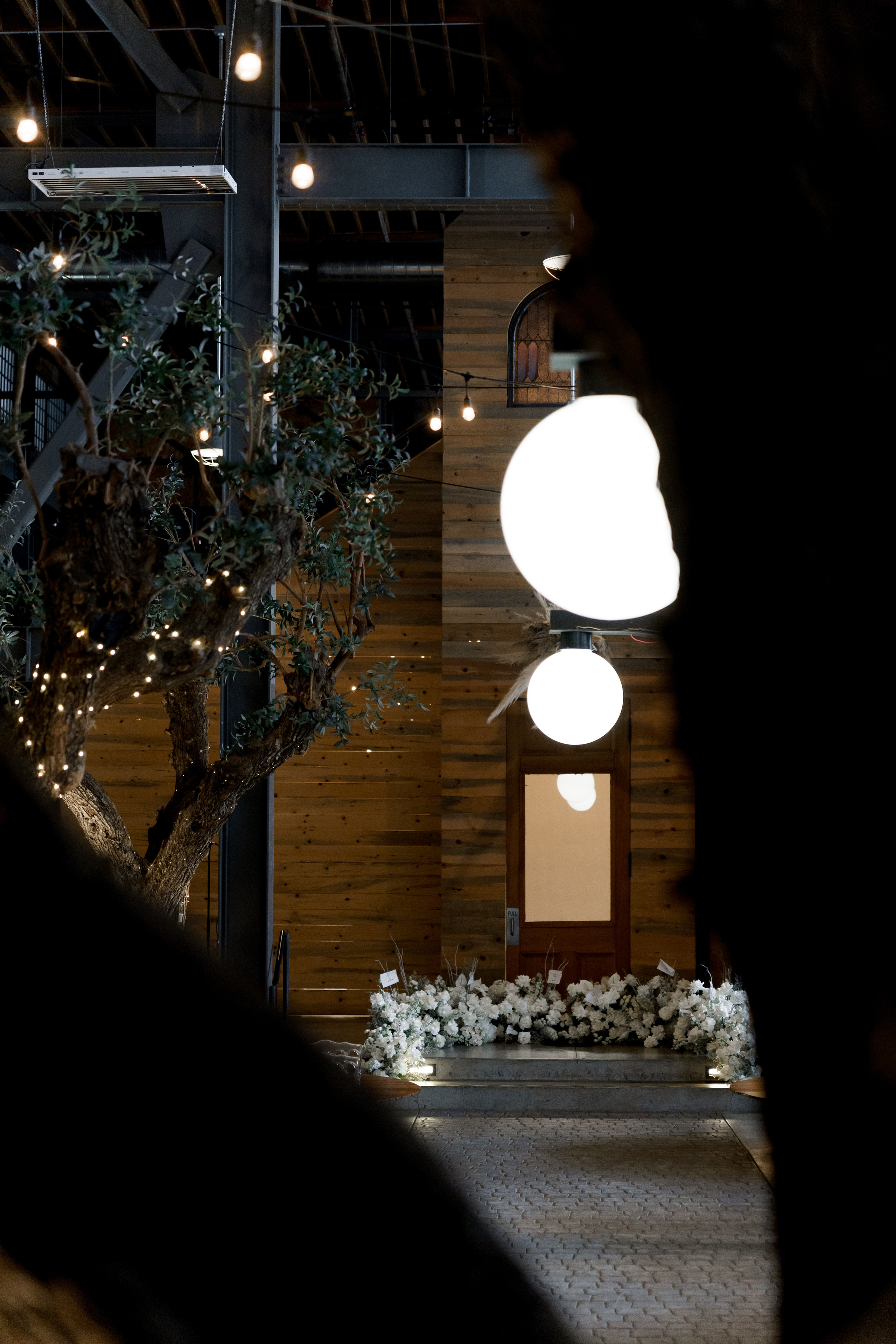 Shushan and Juno. Wedding photographer and videographer New York | New Jersey