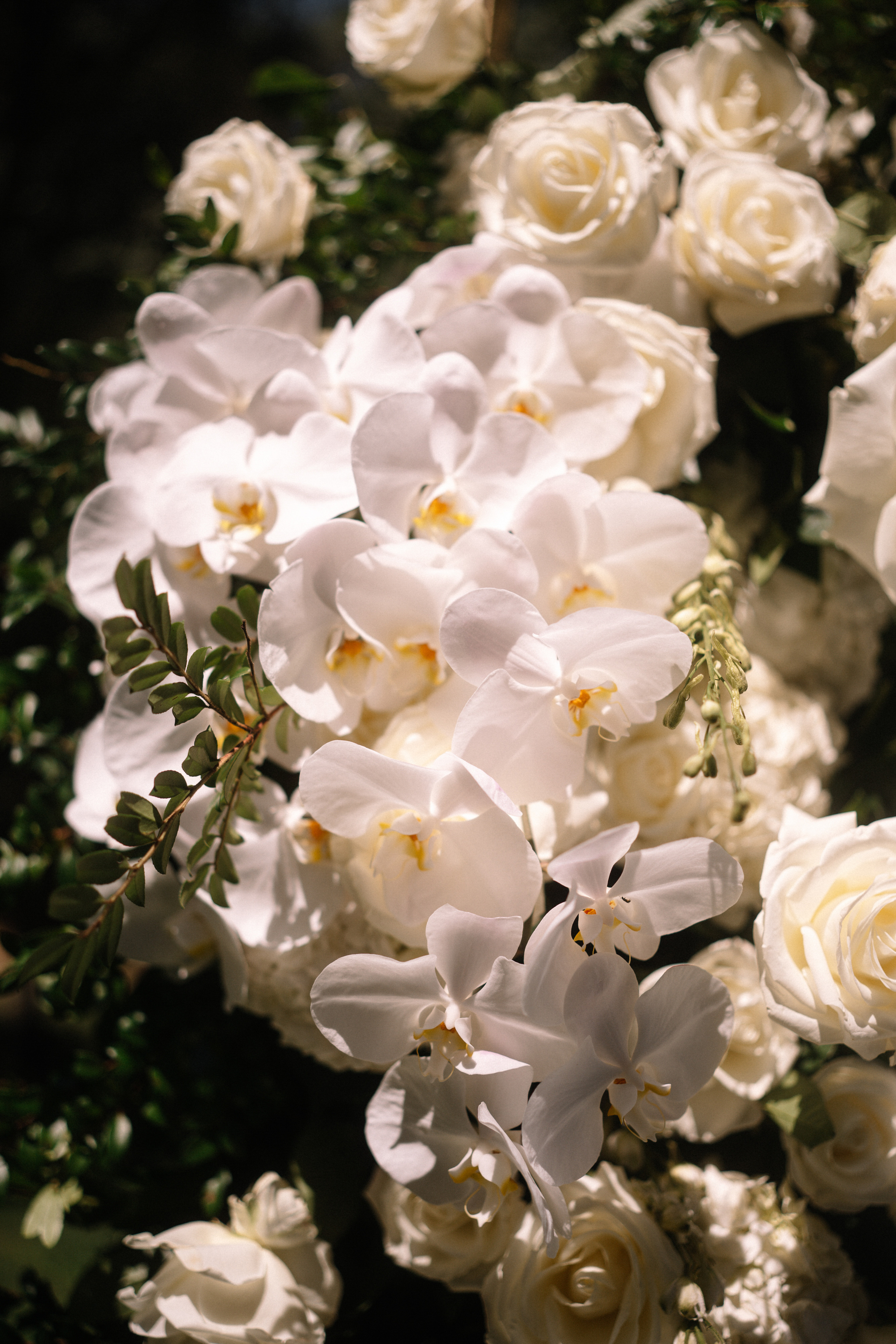 Sofi and Grigor’s Stunning Armenian Wedding in Los Angeles. Wedding photographer and videographer New York | New Jersey