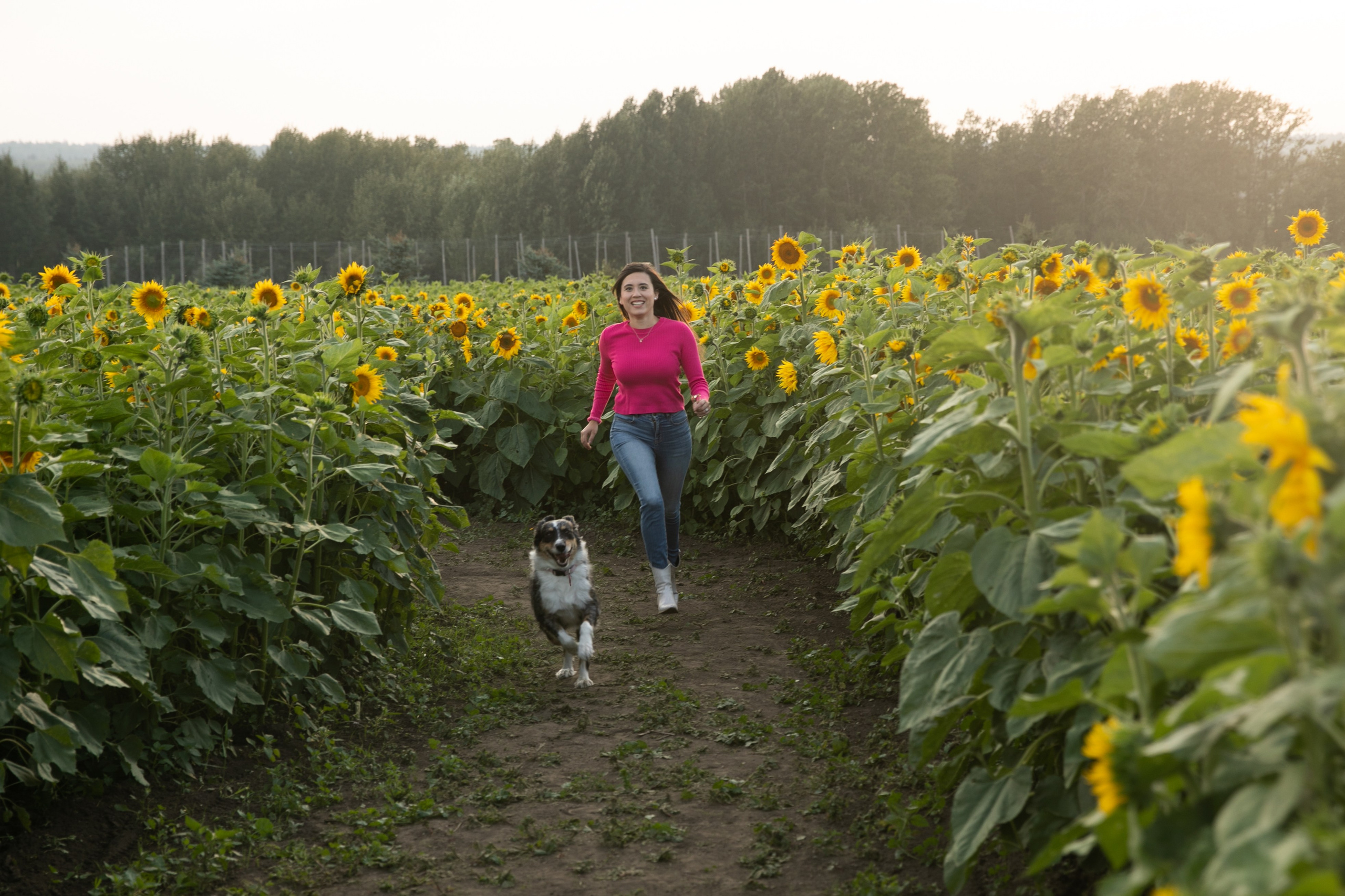 Bowden Sunmaze Ana Pau. Fotografía accesible en Calgary