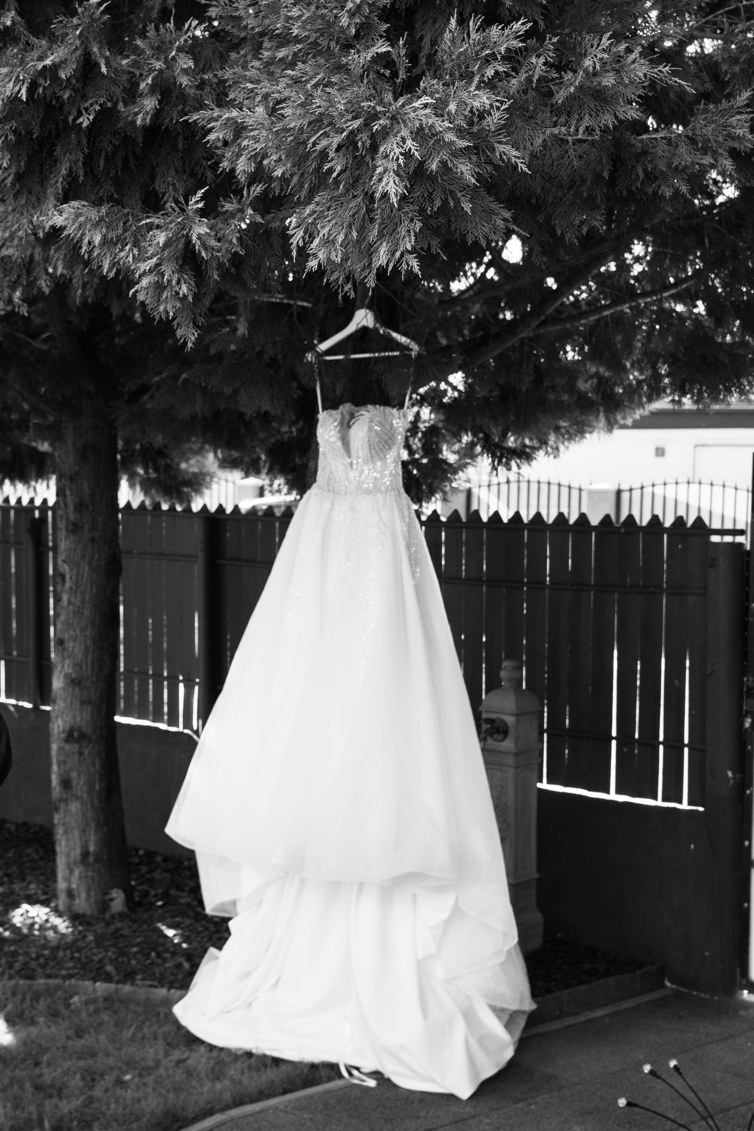 fotograf  nunta Bucuresti