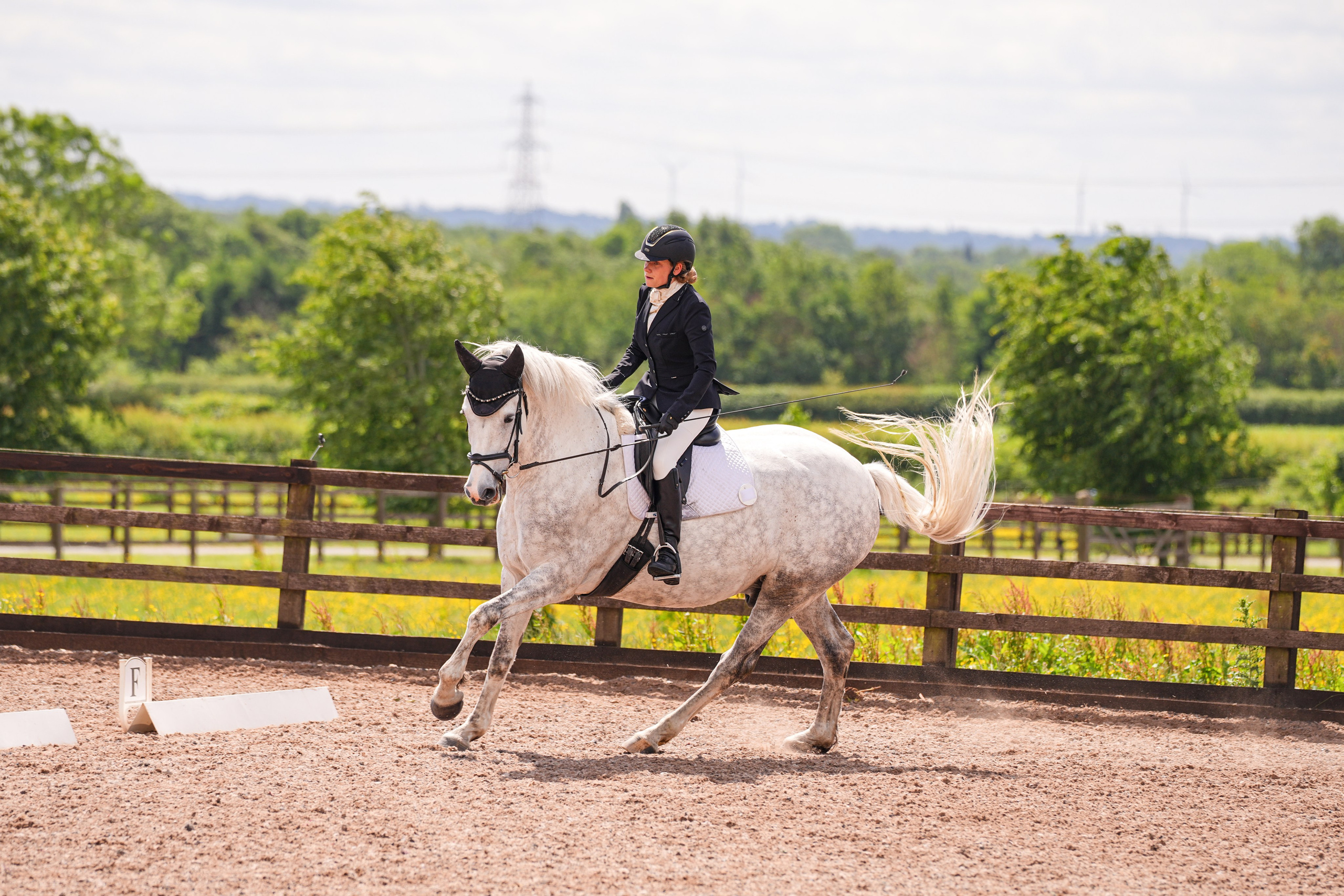 Dressage. Leicestershire Equine Photography by El | Authentic Equine Portraits & Events