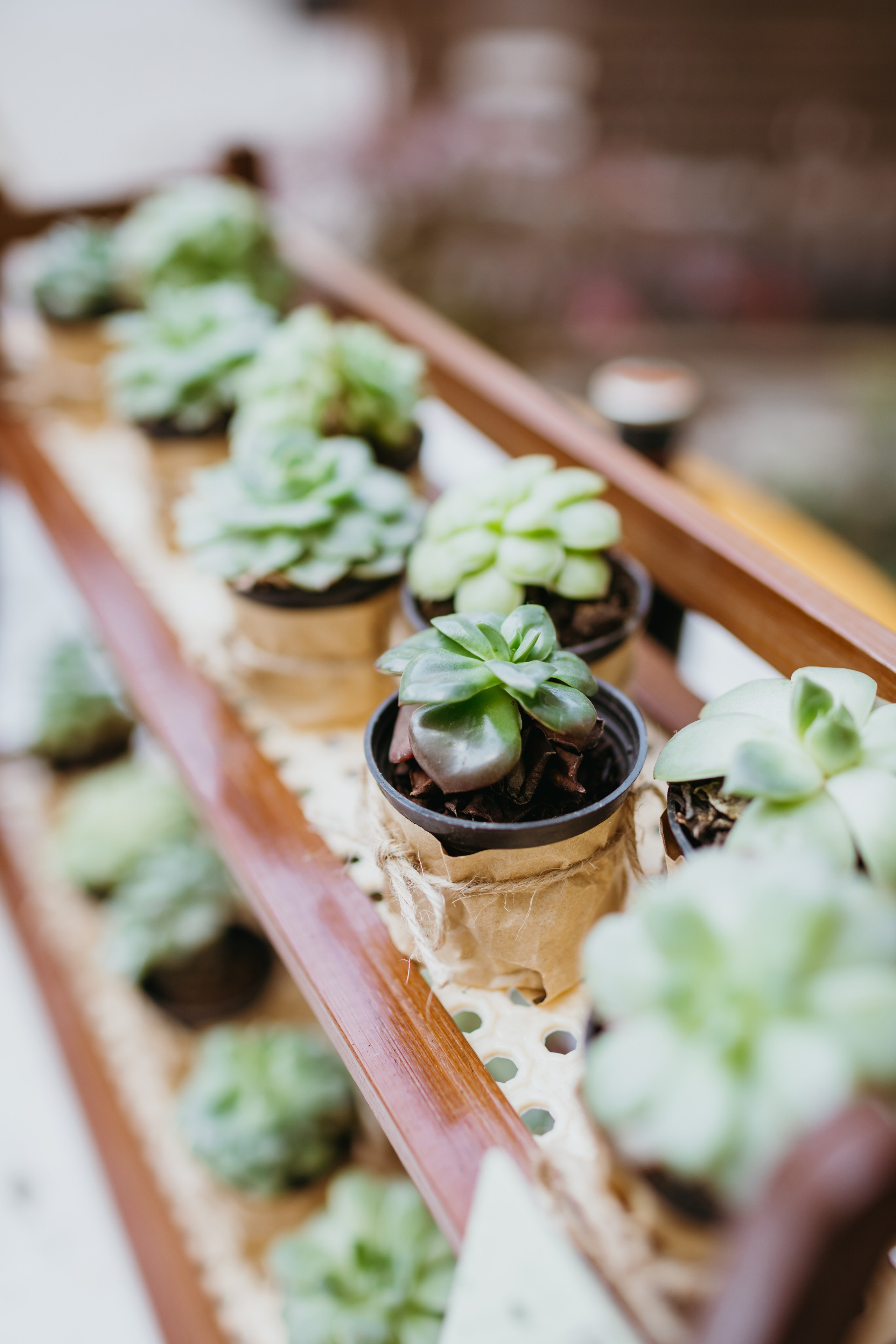 Свадьба Андрея и Елизаветы — Свадебный фотограф Бишкек, Кыргызстан | Оксана Шувалова фотограф — Wedding Photographer Bishkek, Kyrgyzstan. Фотограф в Бишкеке Оксана Шувалова