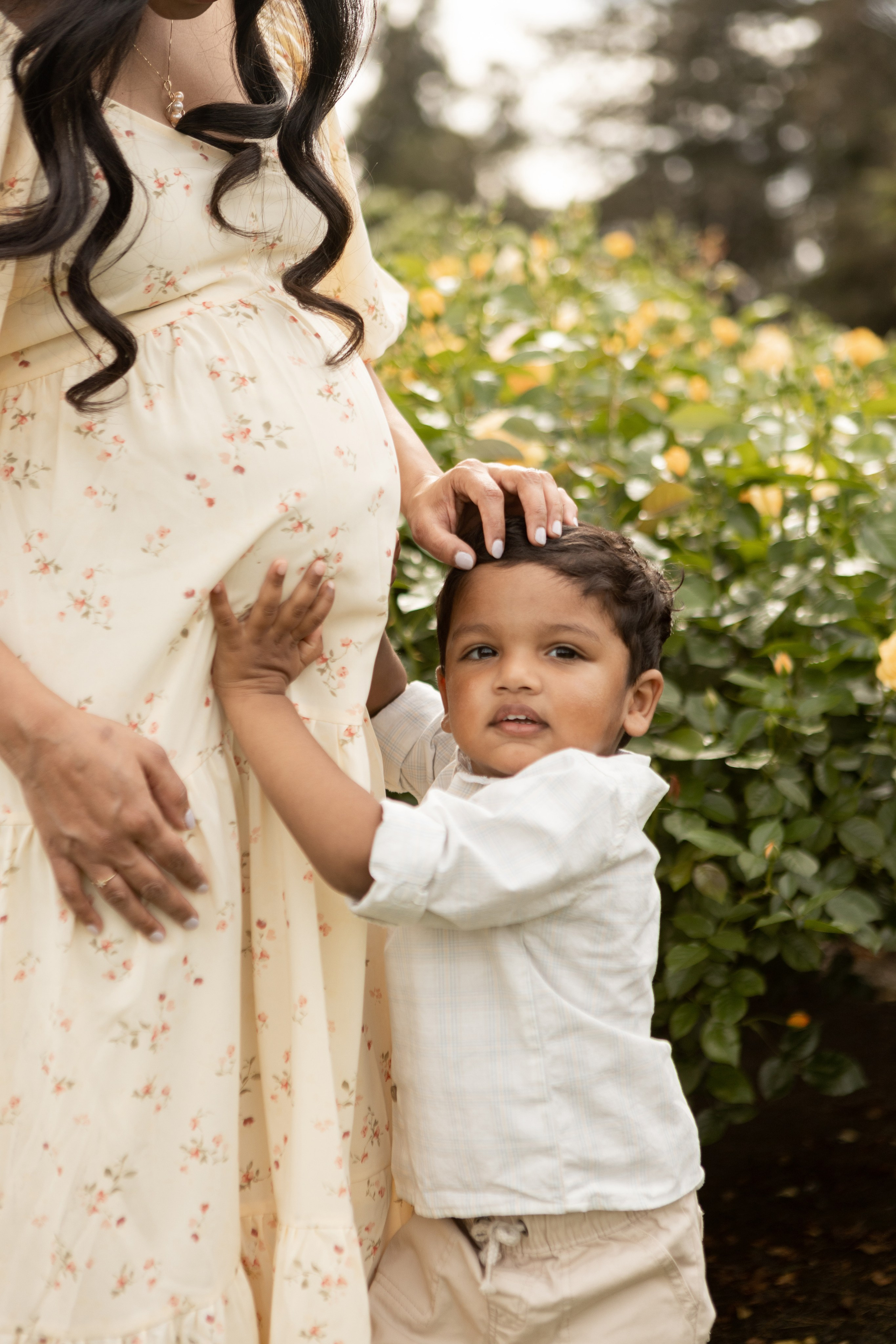 Maternity and Pregnancy. Family photographer in Bay Area, California
