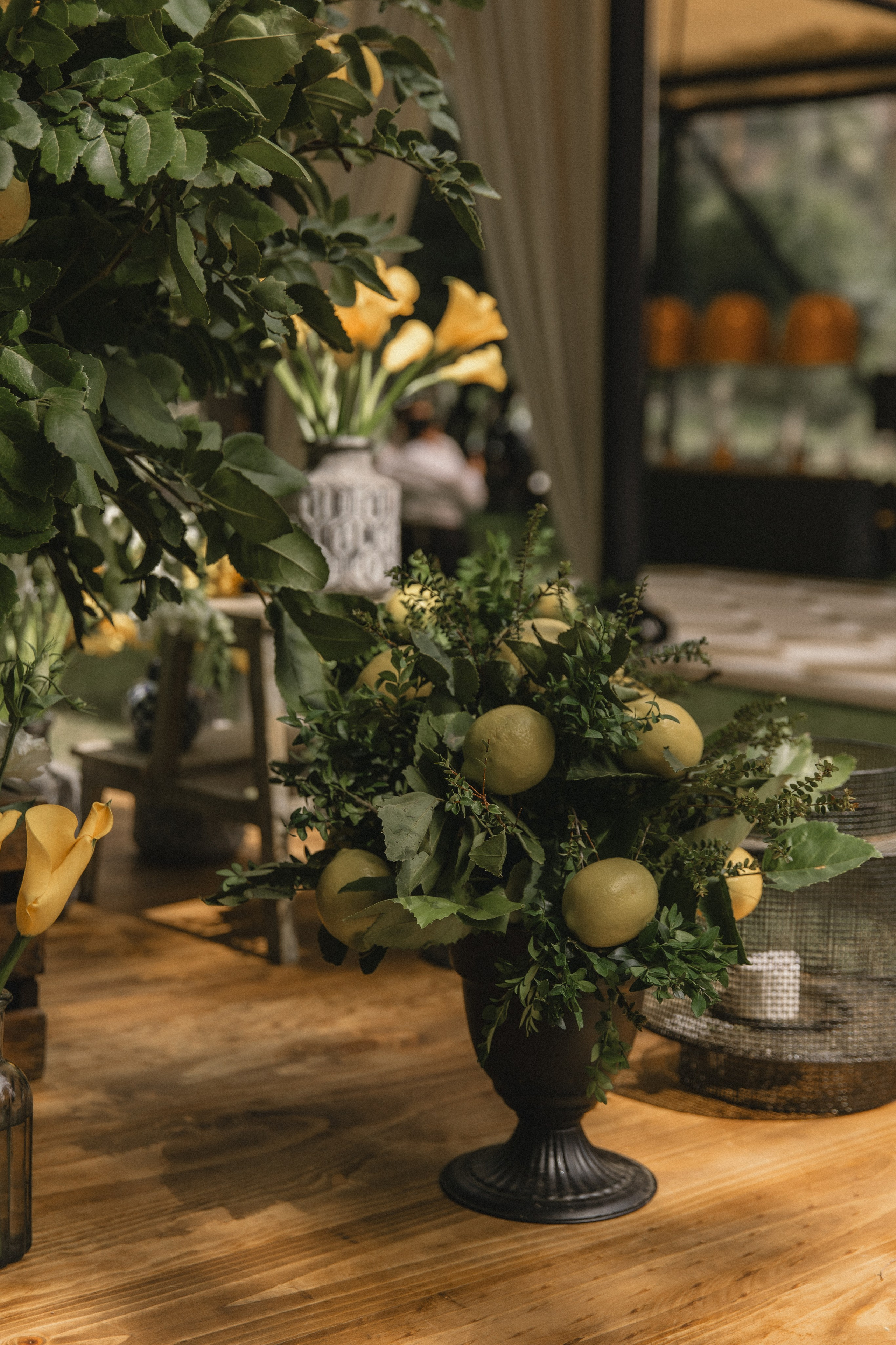 María José & Nikolas. Fotógrafa familiar Santiago y Chile Anna Almazova