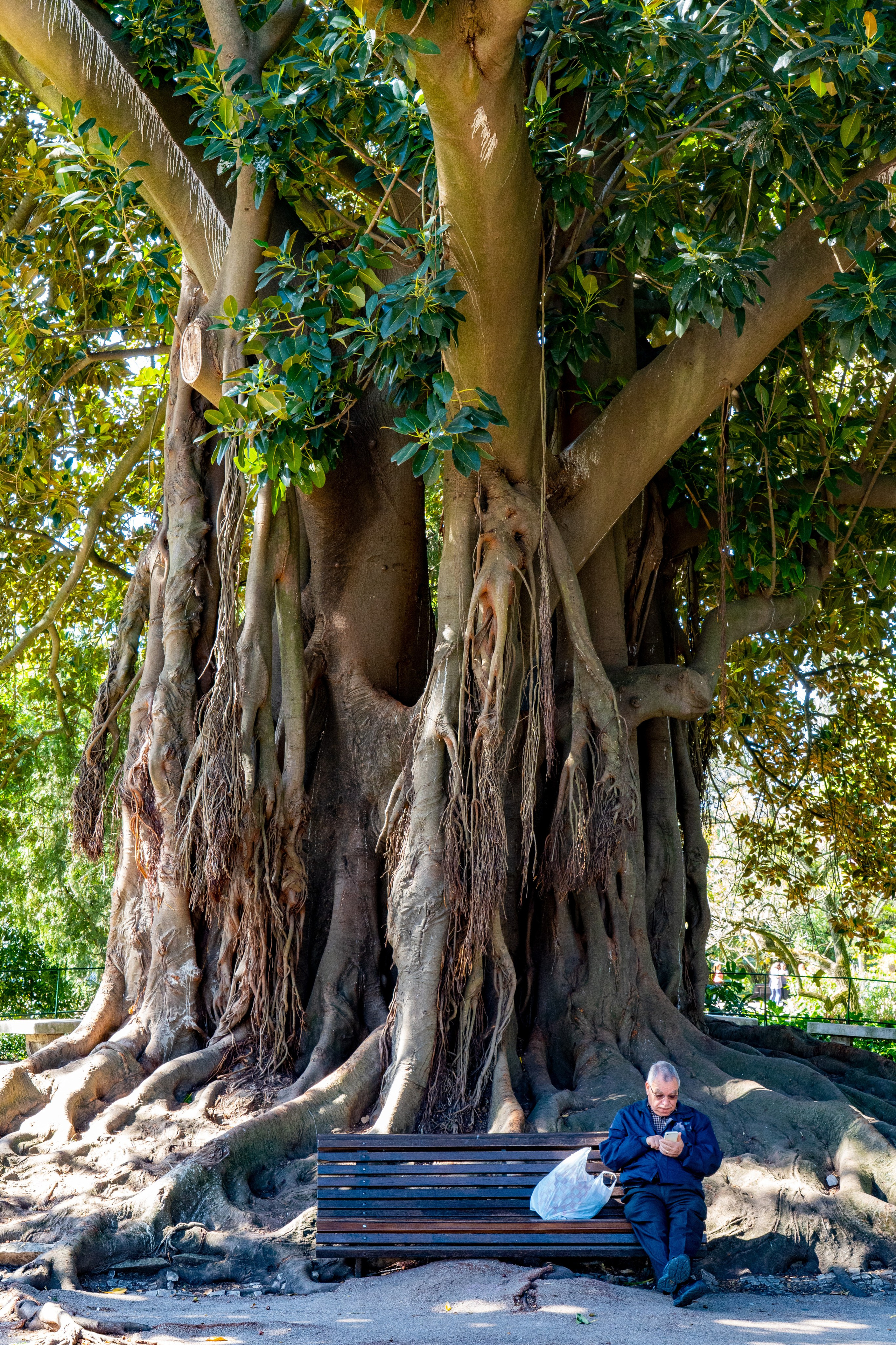 Throwback #3 / Streets of Lisbon (April 2023). URBANSTREETFILES.ART