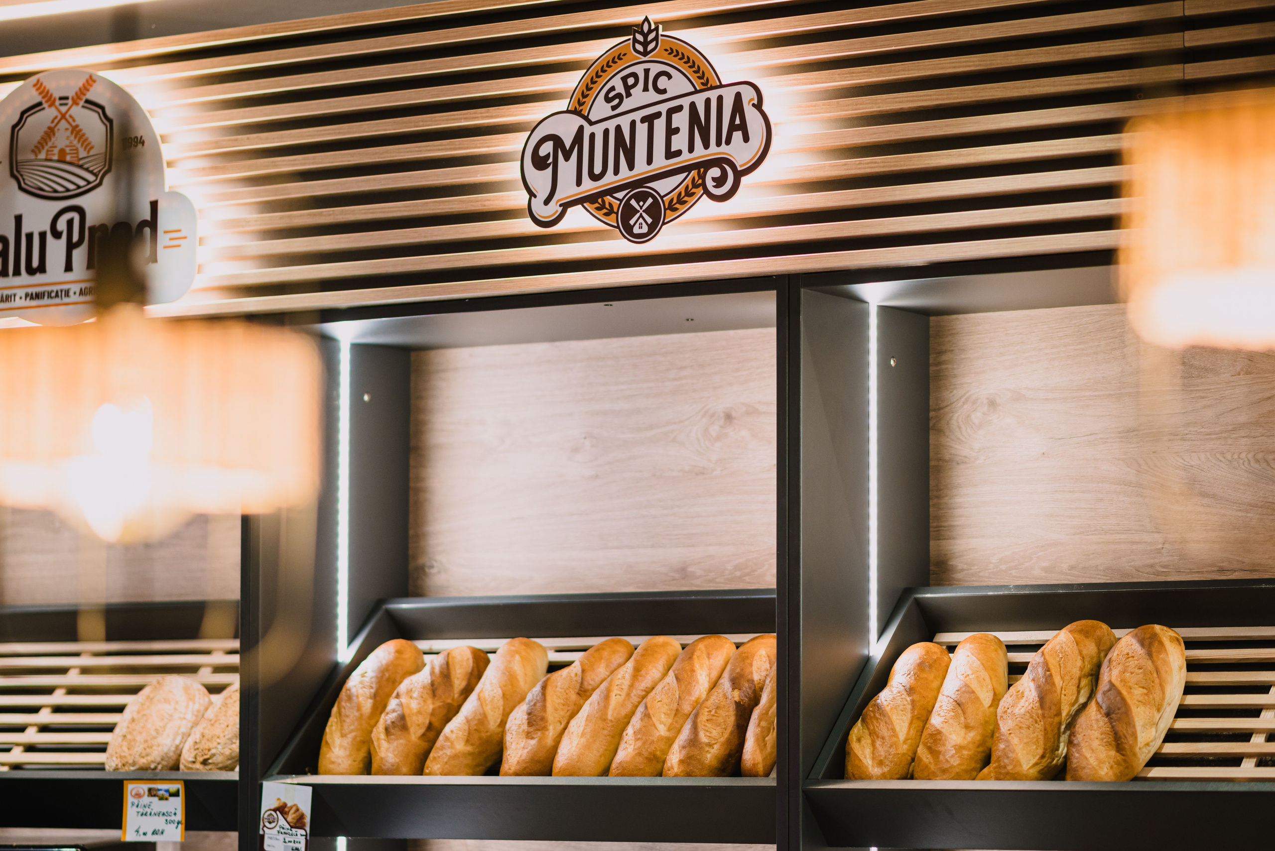 Spic Muntenia. Giani Maftei