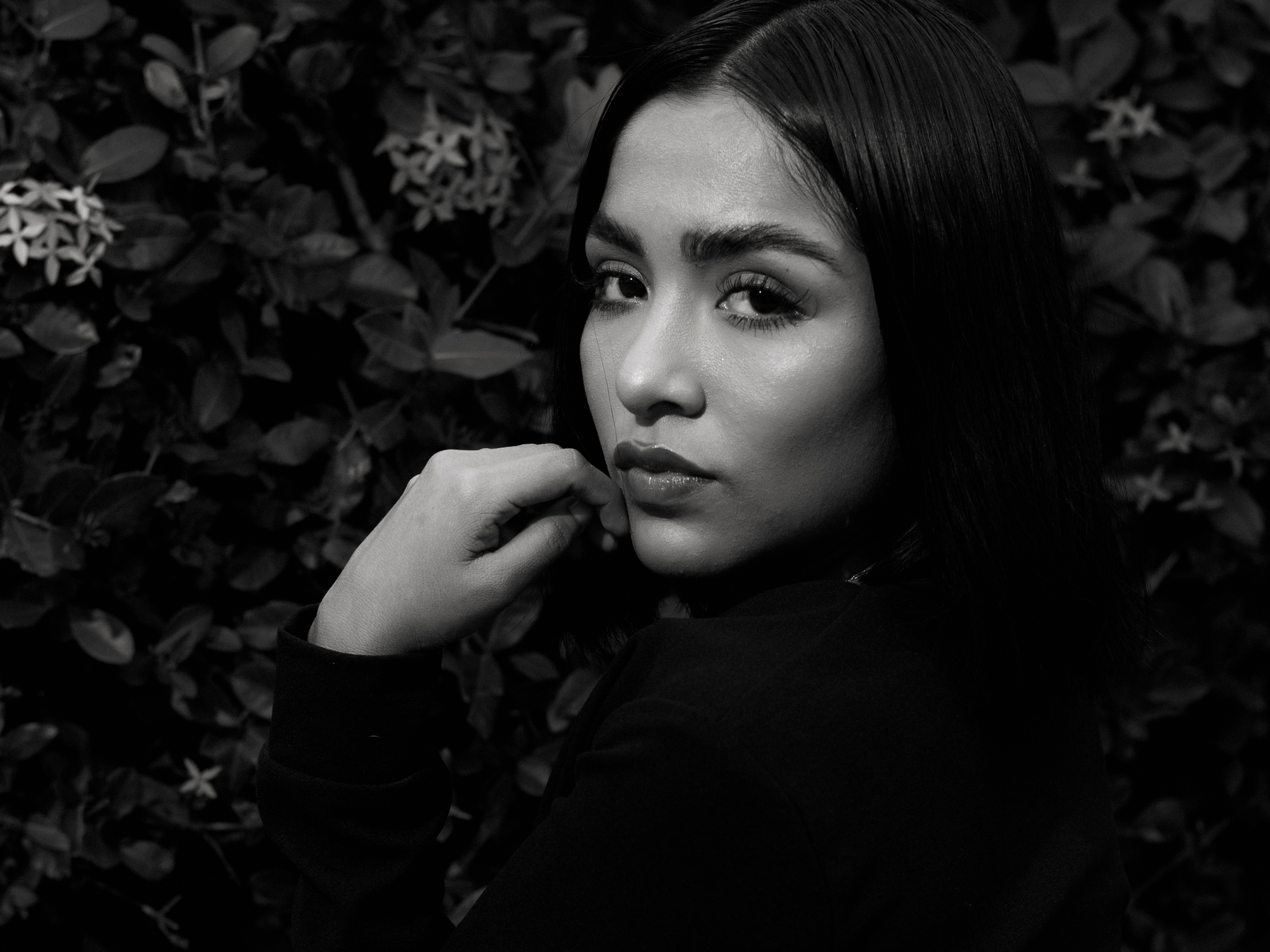 Contacto. Fotografía Profesional - Noise Motion