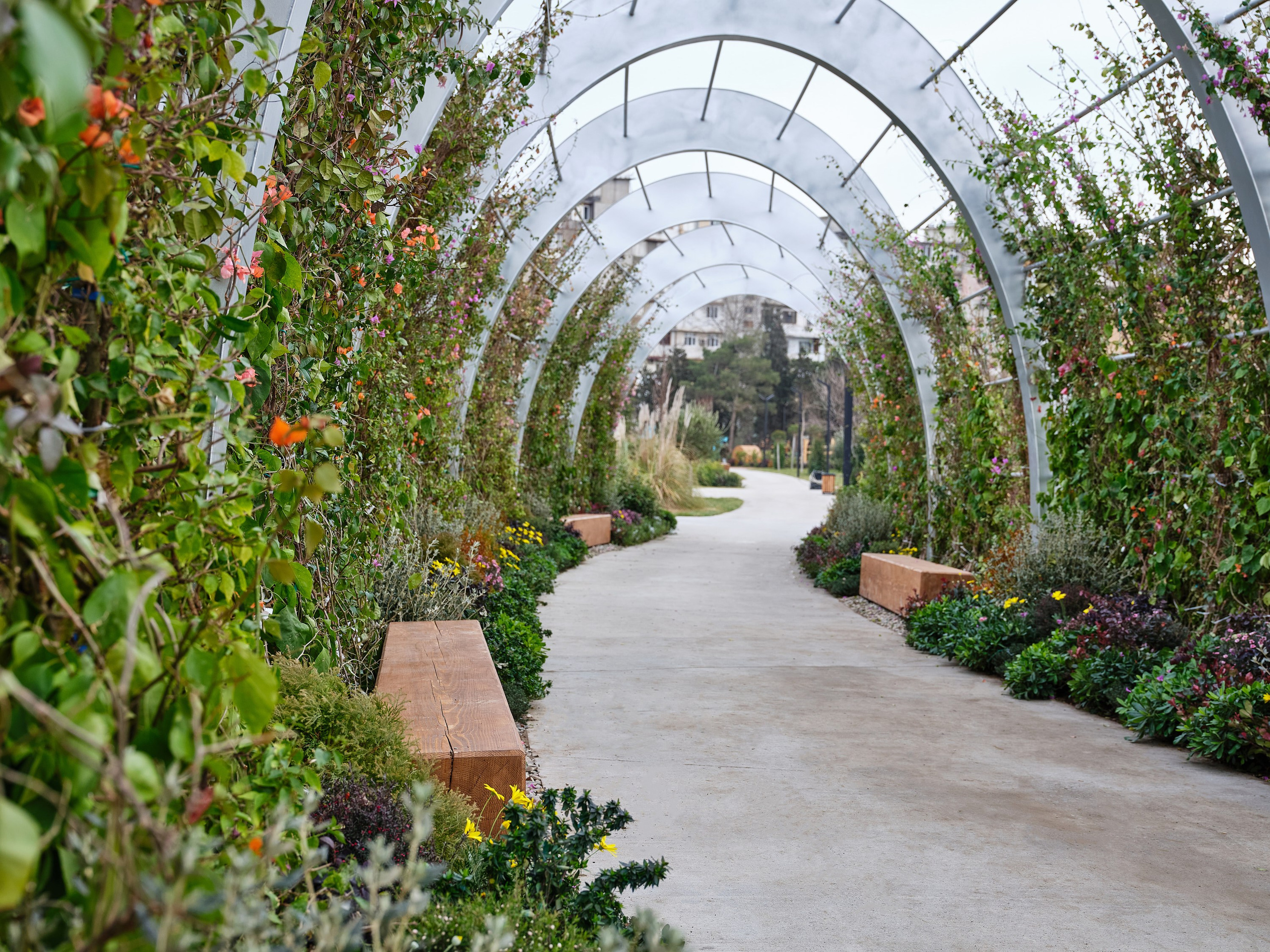 Alatava park. Elmar Mustafazadeh Photography