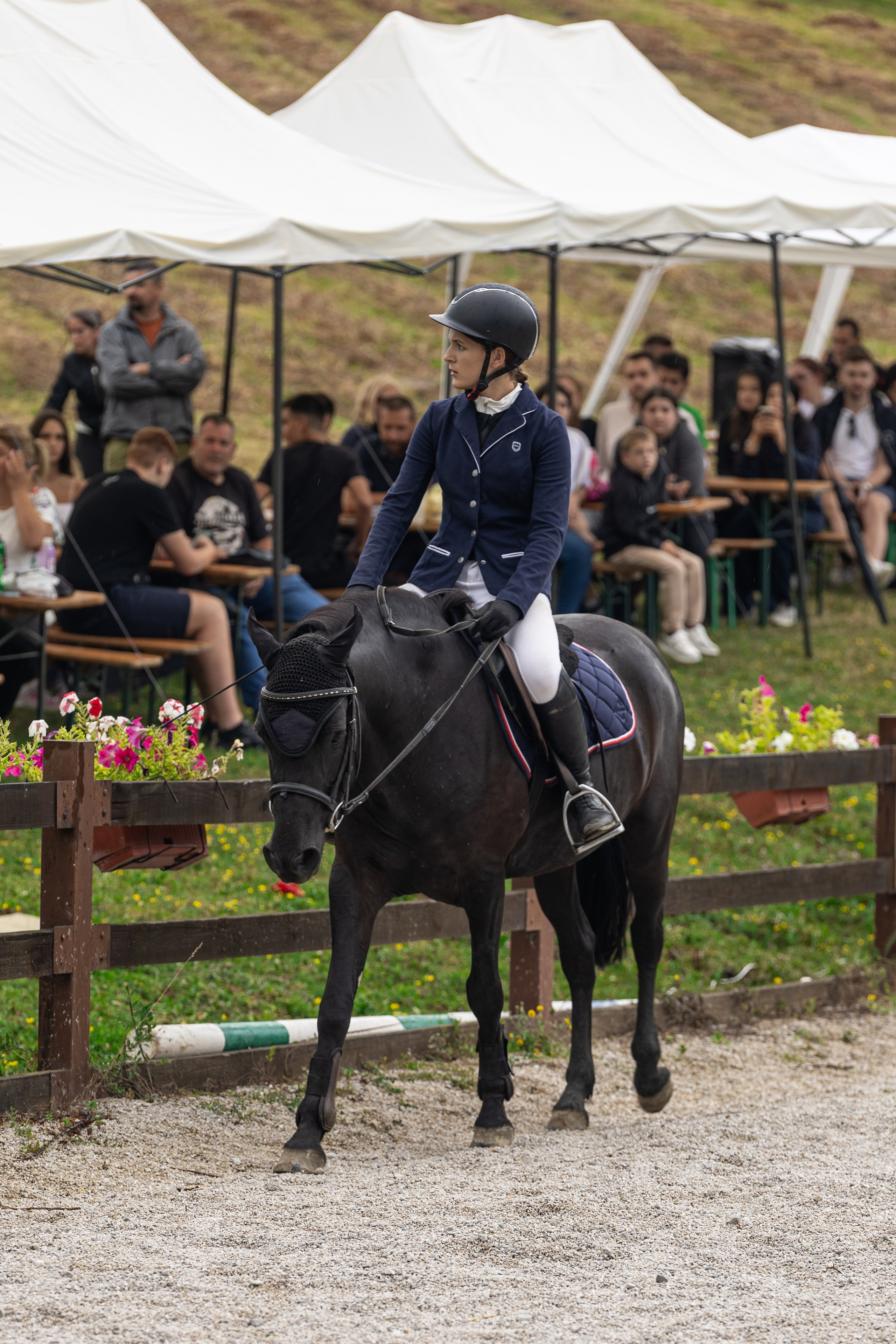 Preponsko takmičenje konja u Sarajevu, 16. august 2025 – dinamičan skok konja i jahača u umjetničkom prikazu snage i elegancije.