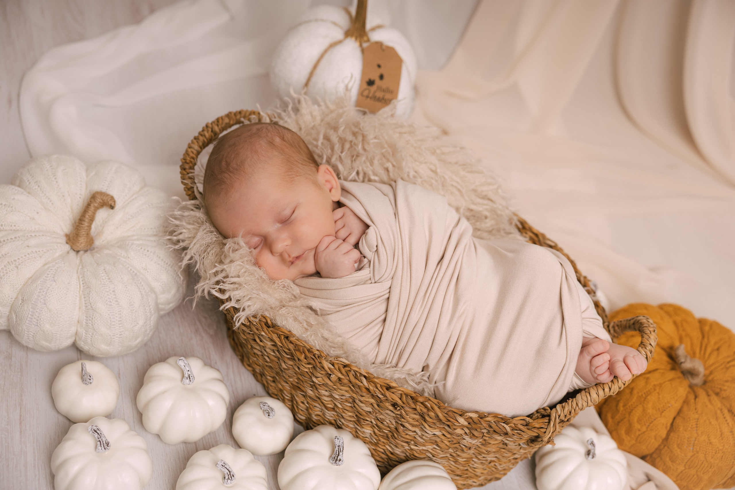 První měsíc života. Лайфстайл и семейный фотограф в г. Писек Чехия Оксана Телупилова