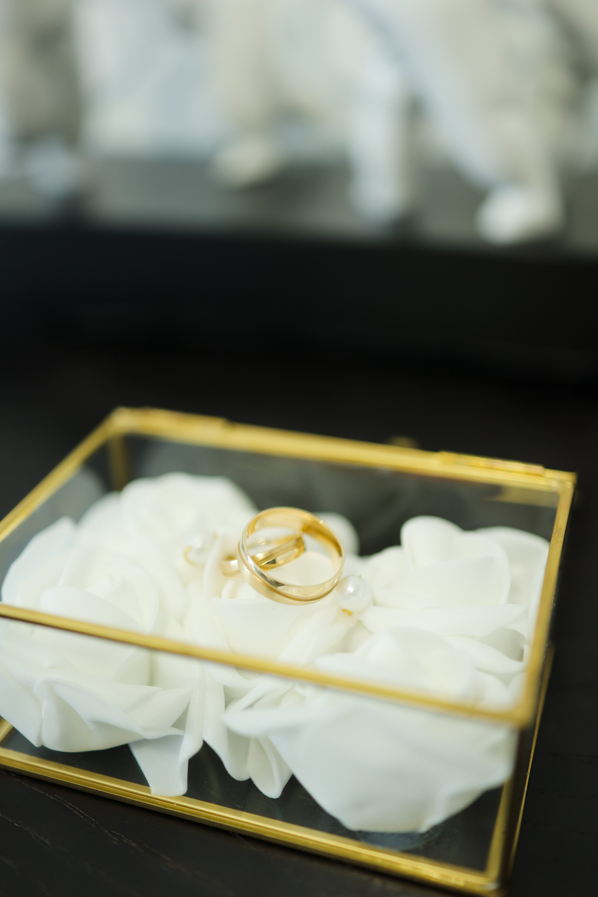 Jovana & Milos. Vlada toskic wedding and event photographer